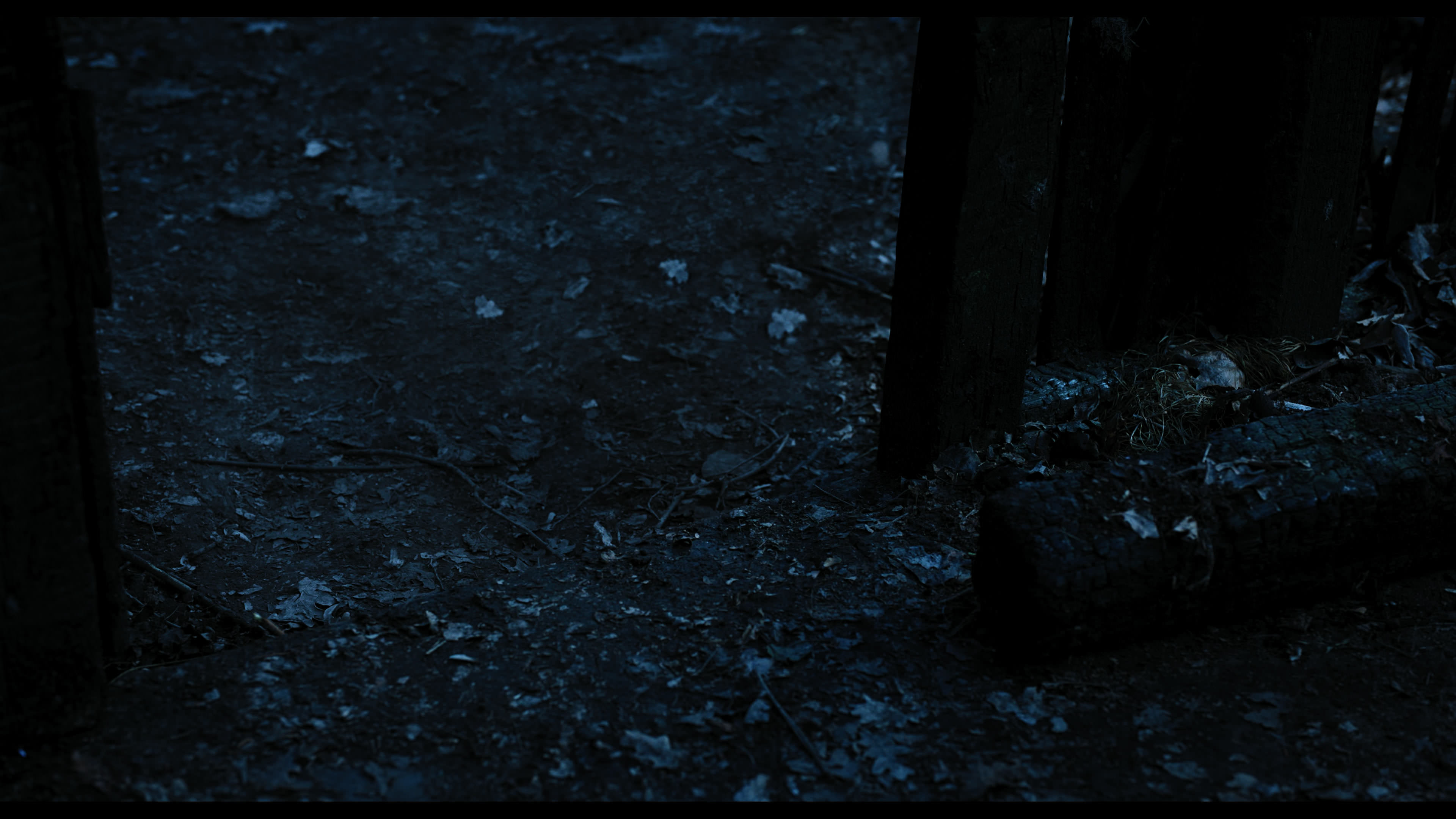 Wednesday S01E03 “Friend or Woe” movie still 3565
