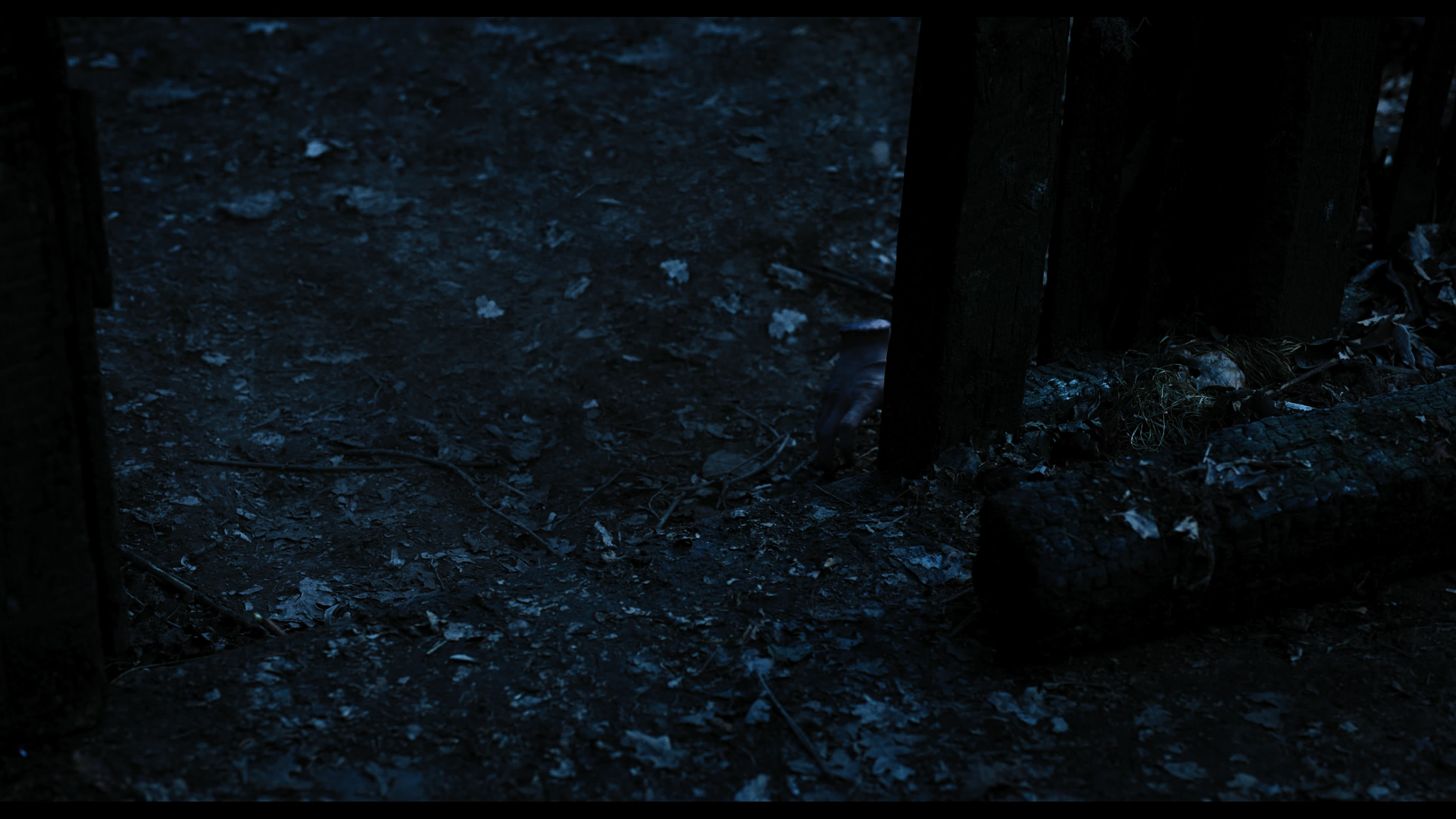 Wednesday S01E03 “Friend or Woe” HD screenshot 3566