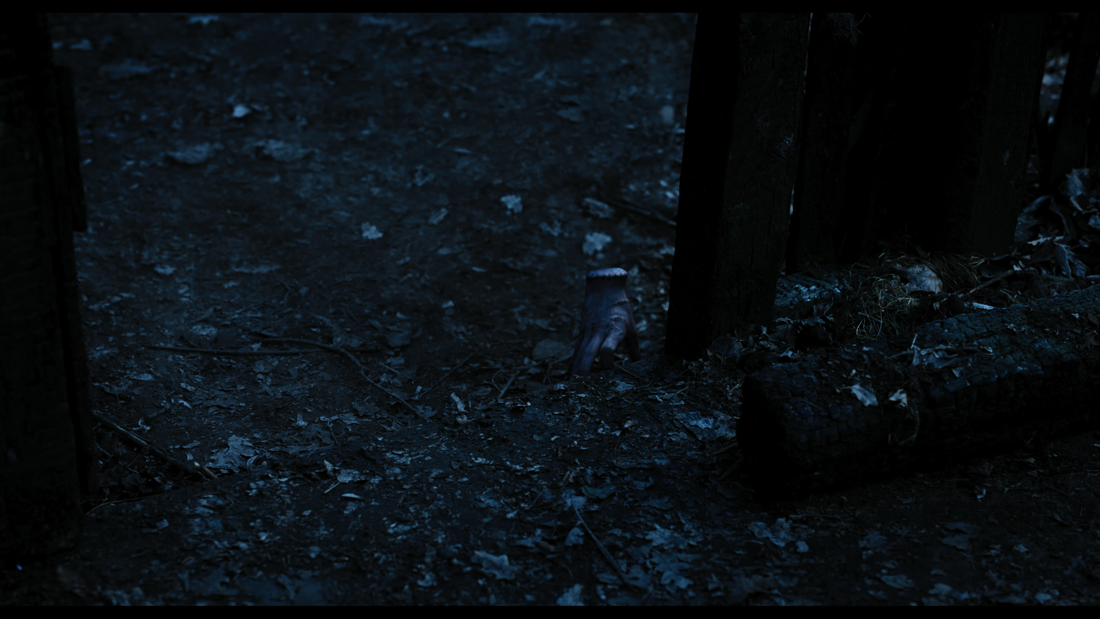 Wednesday S01E03 “Friend or Woe” screencap 3567