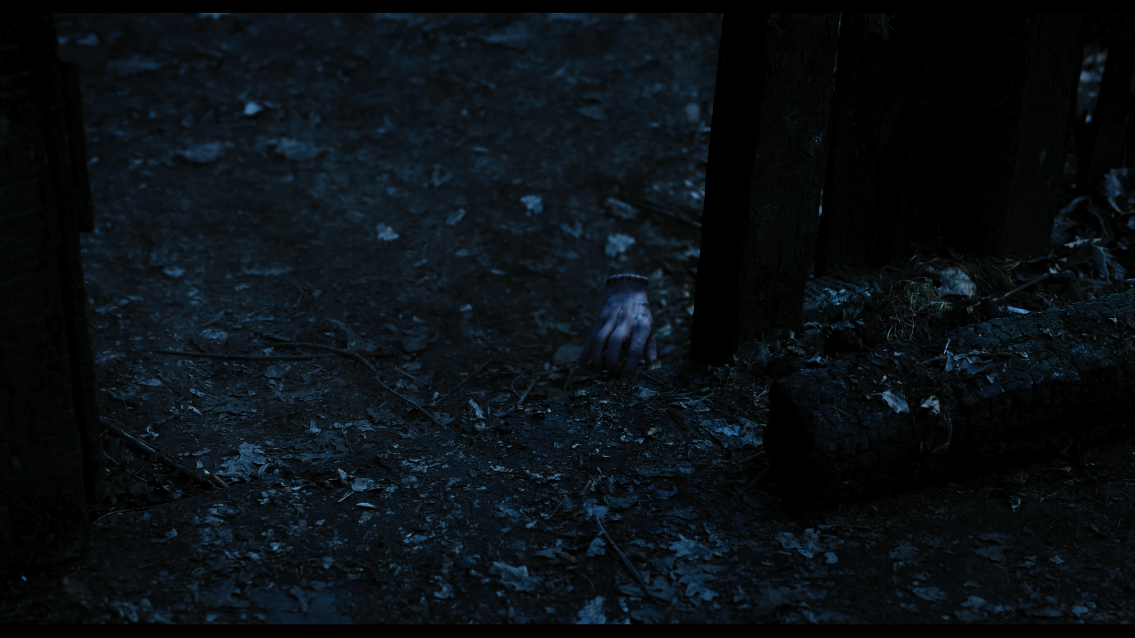 Wednesday S01E03 “Friend or Woe” movie still 3568