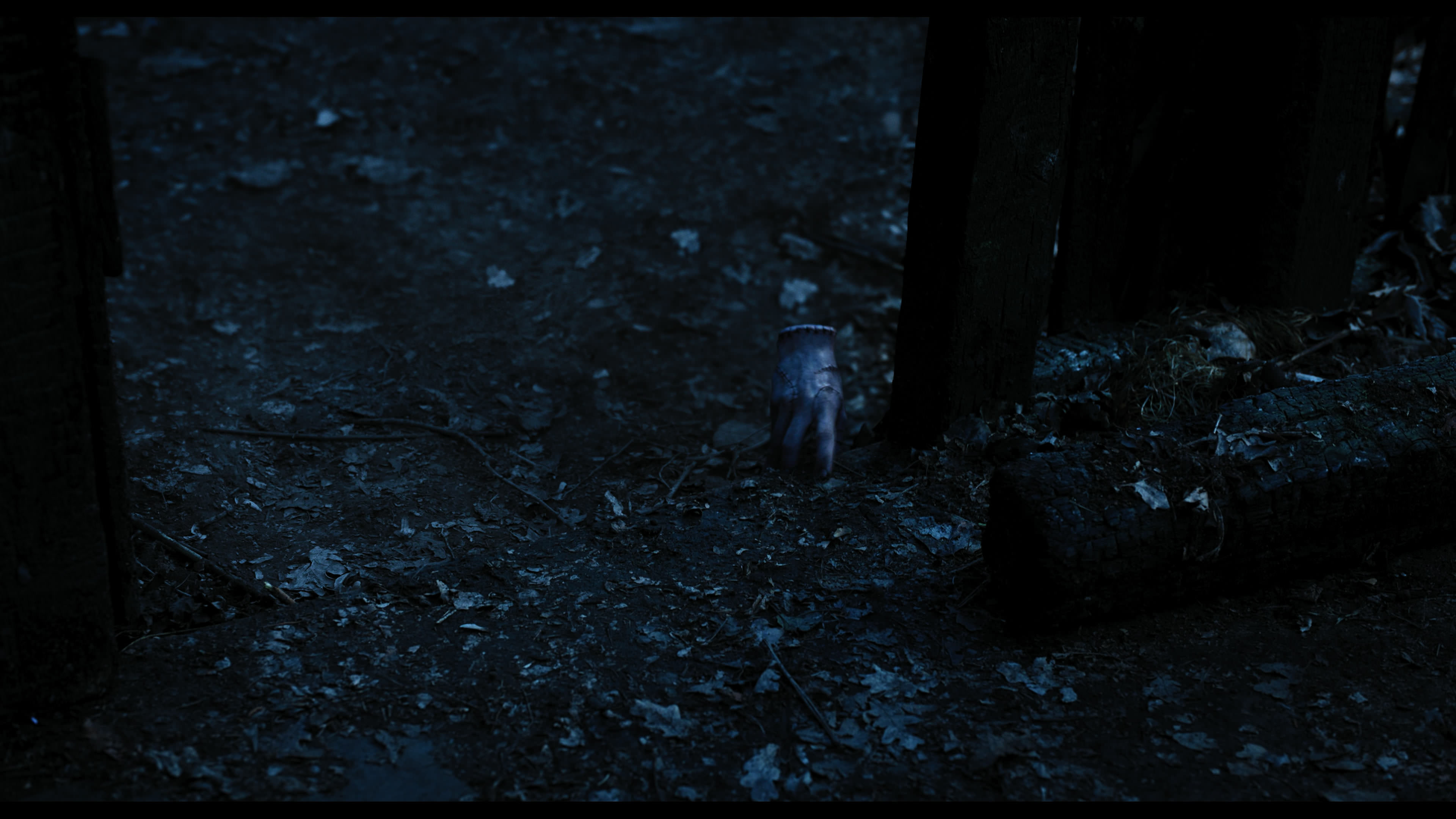 Wednesday S01E03 “Friend or Woe” HD screenshot 3569