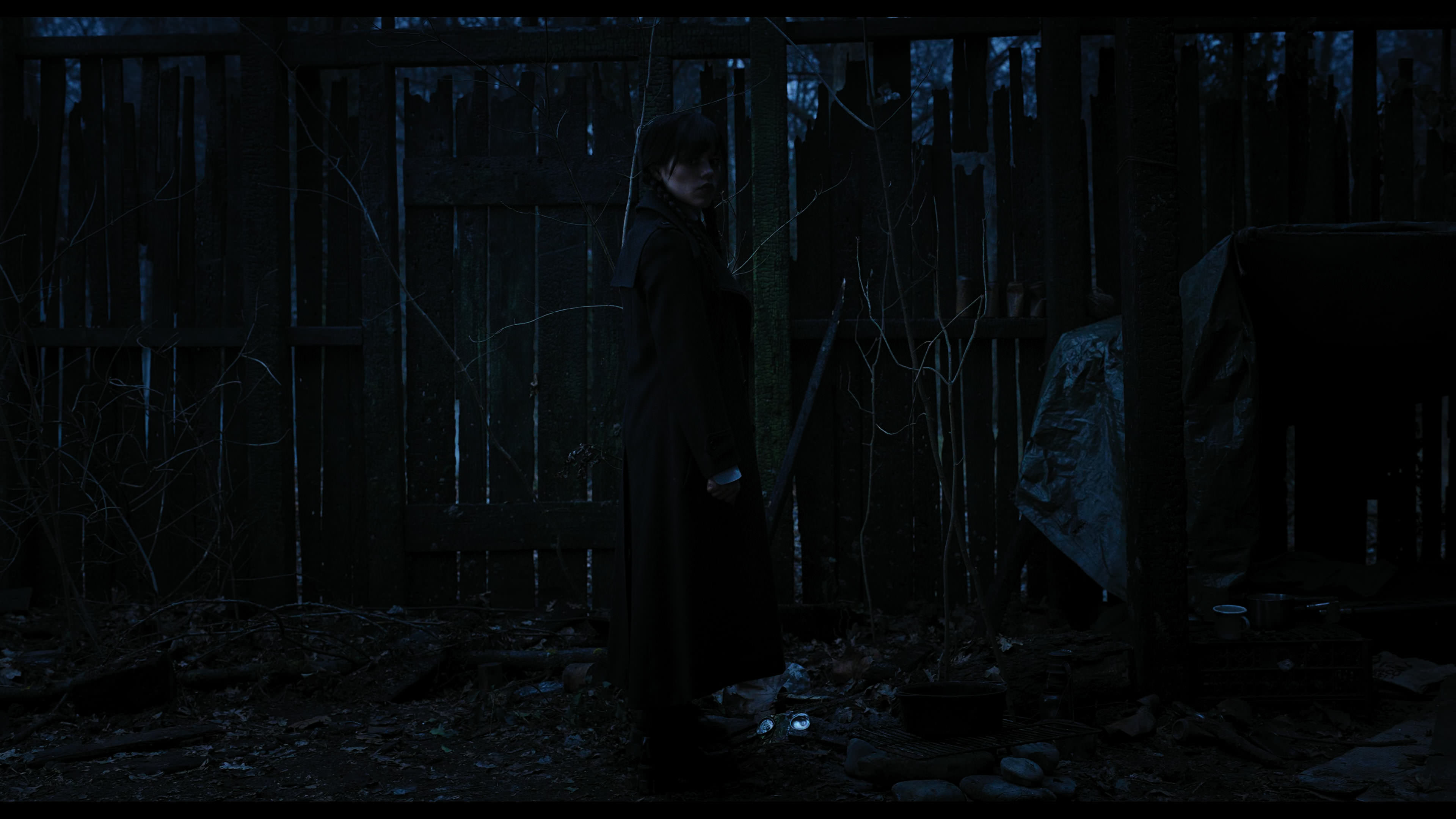 Wednesday S01E03 “Friend or Woe” movie still 3574