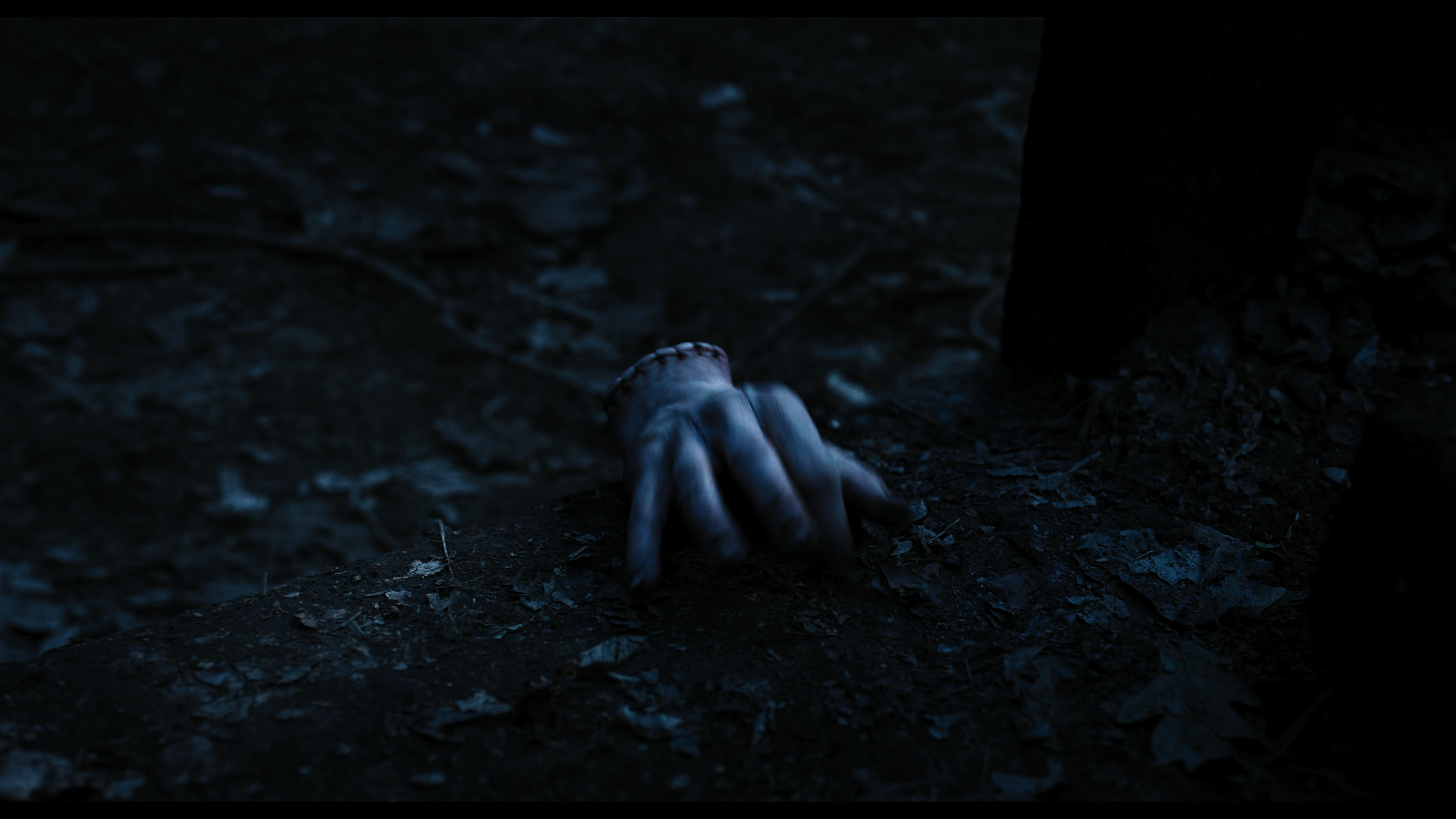 Wednesday S01E03 “Friend or Woe” screencap 3576