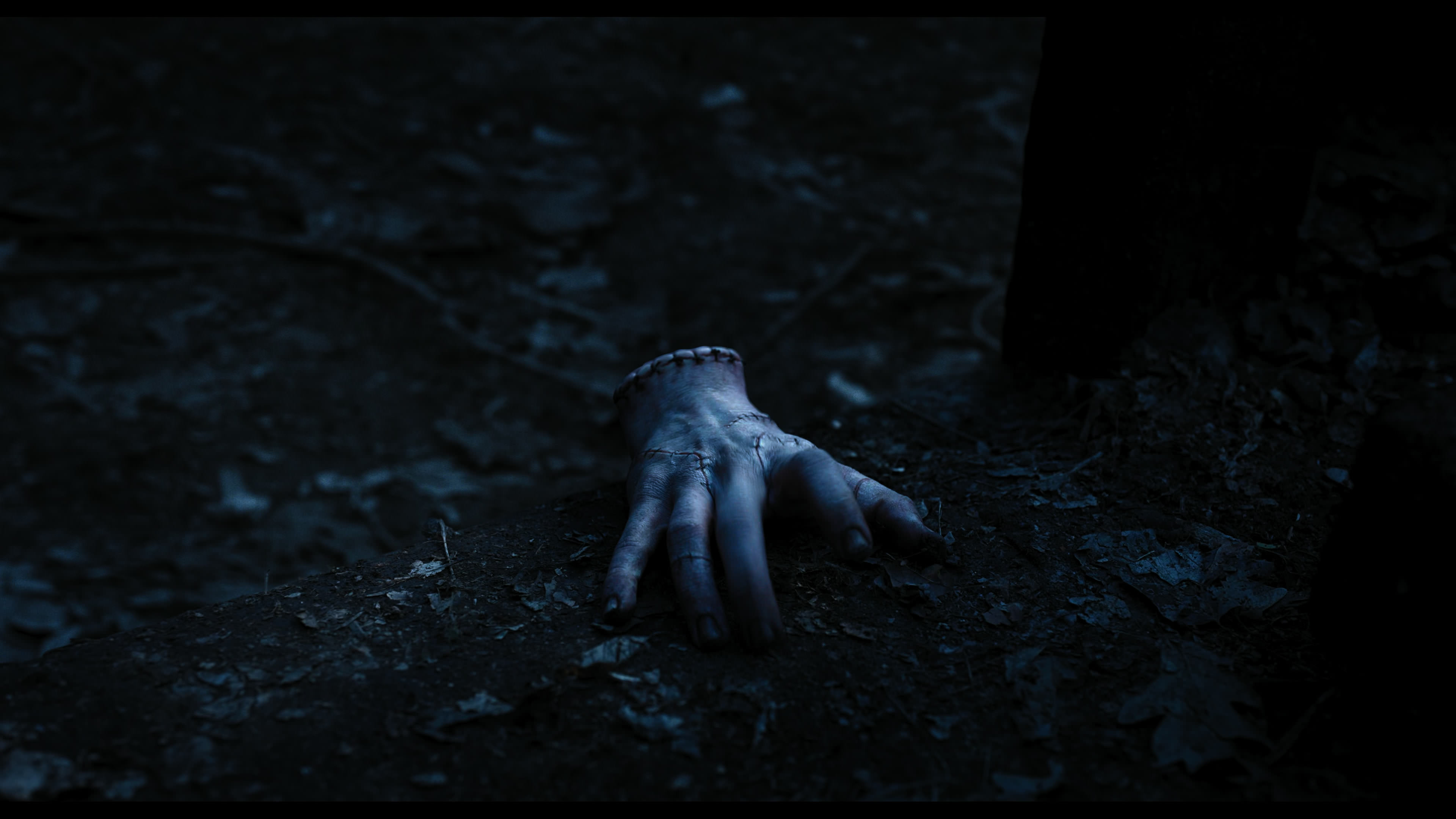 Wednesday S01E03 “Friend or Woe” screencap 3579