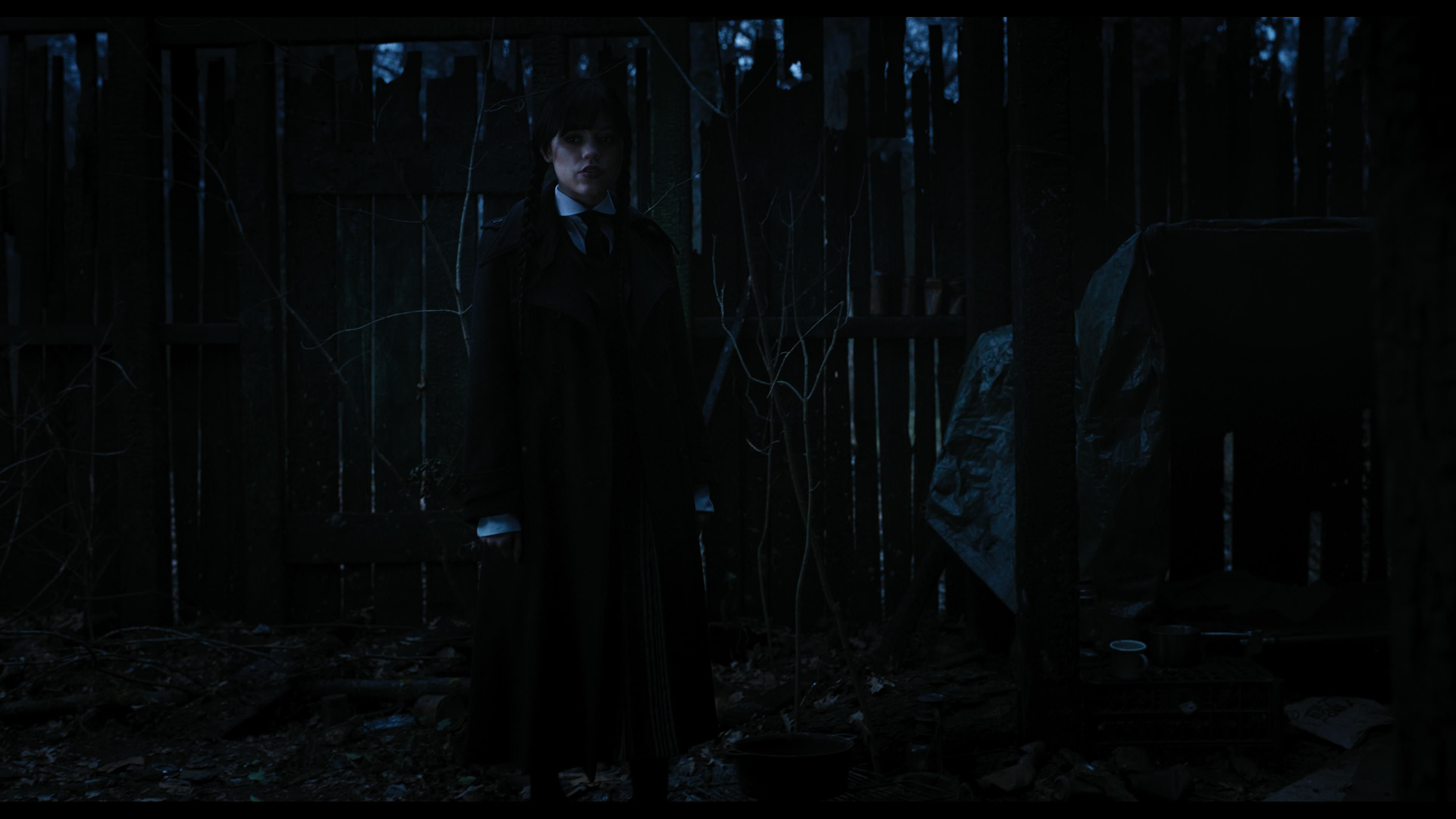 Wednesday S01E03 “Friend or Woe” screencap 3582
