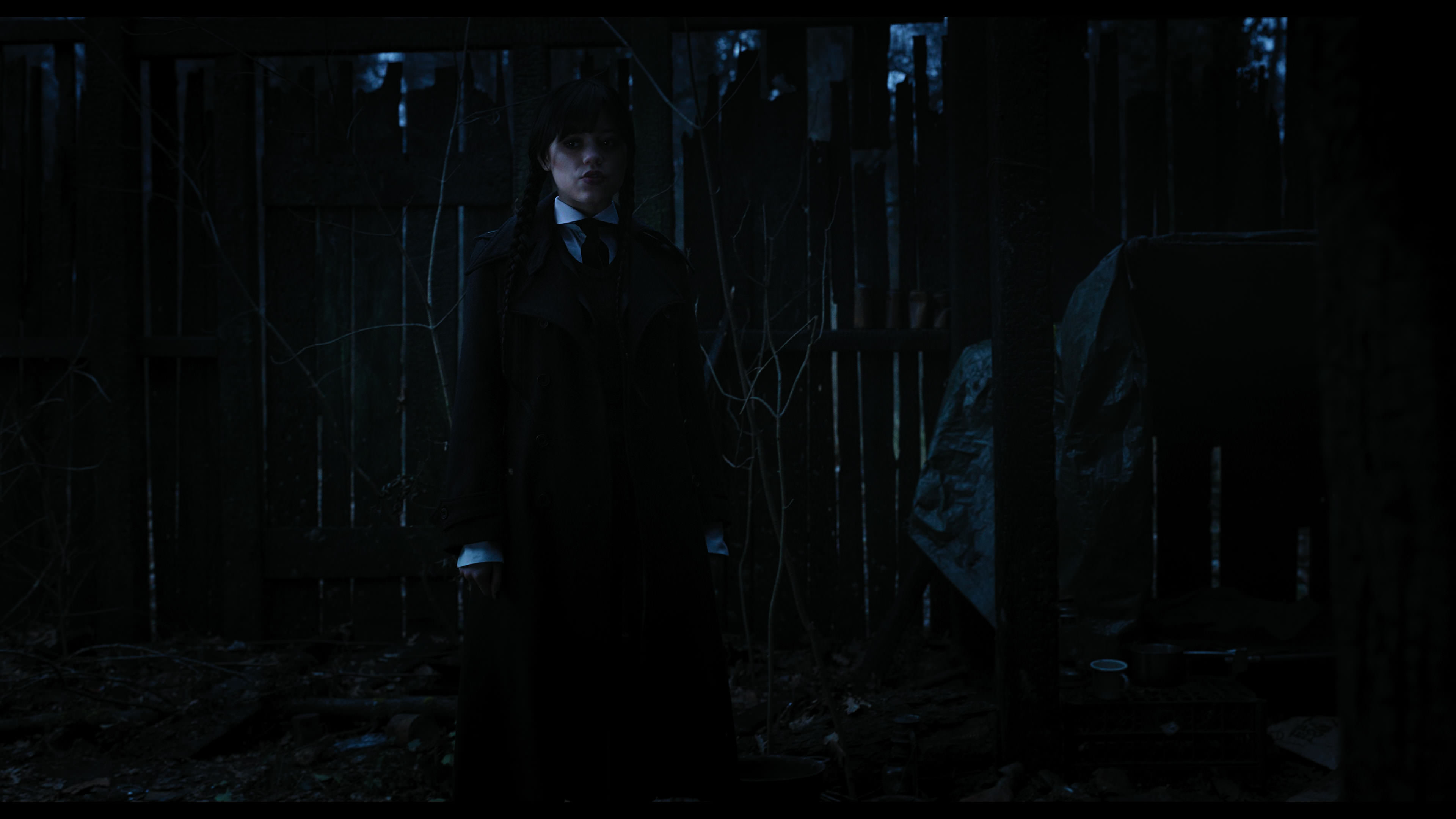 Wednesday S01E03 “Friend or Woe” movie still 3583
