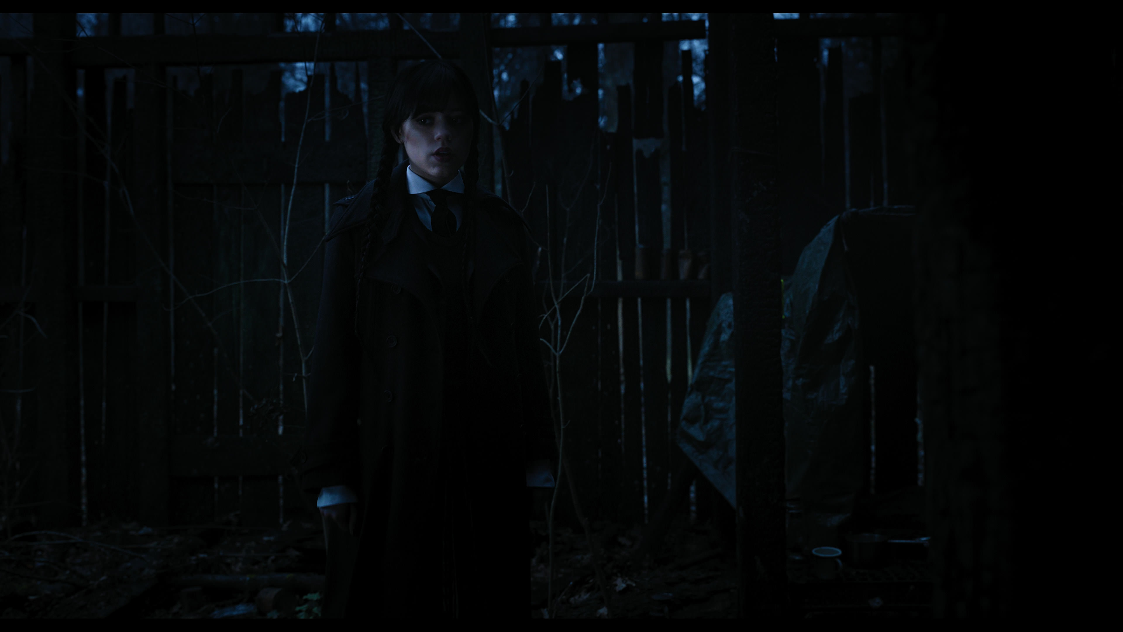 Wednesday S01E03 “Friend or Woe” screencap 3585