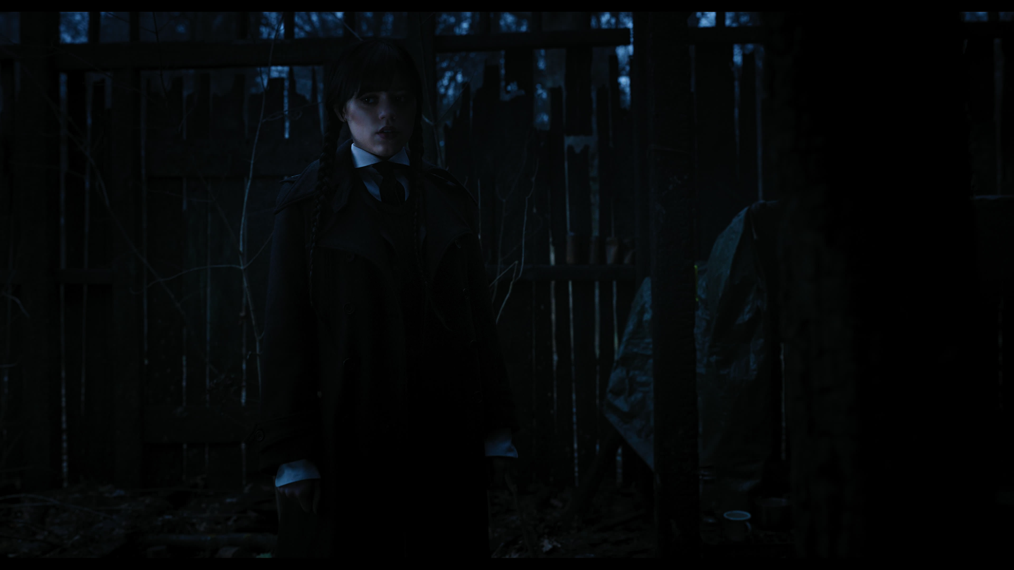 Wednesday S01E03 “Friend or Woe” movie still 3586
