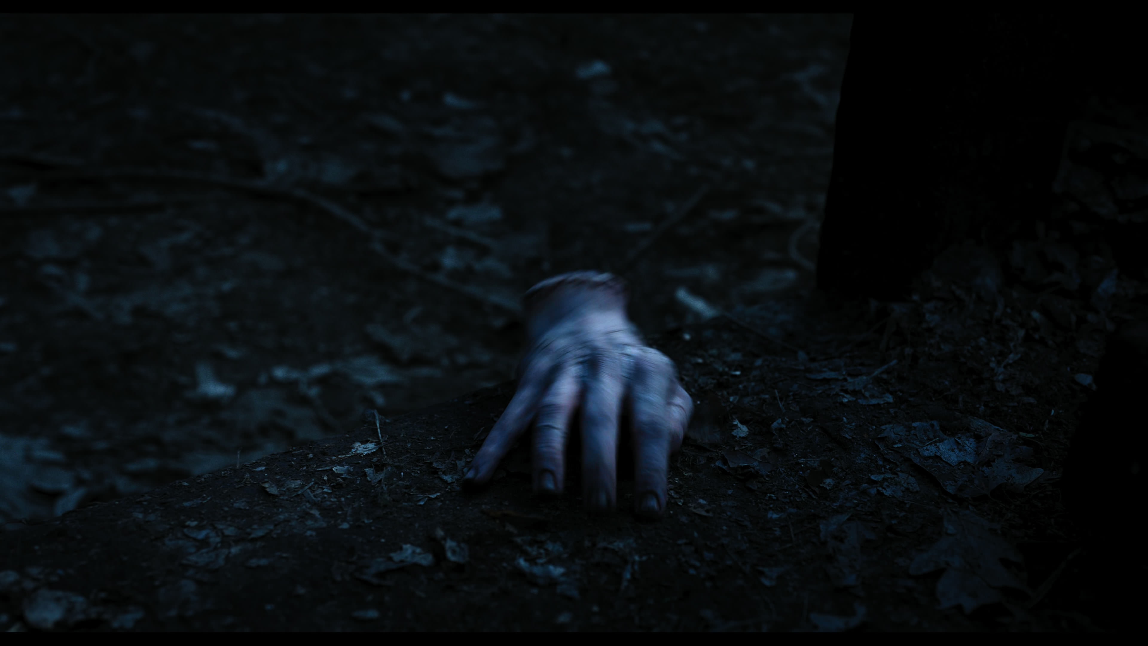 Wednesday S01E03 “Friend or Woe” movie still 3595
