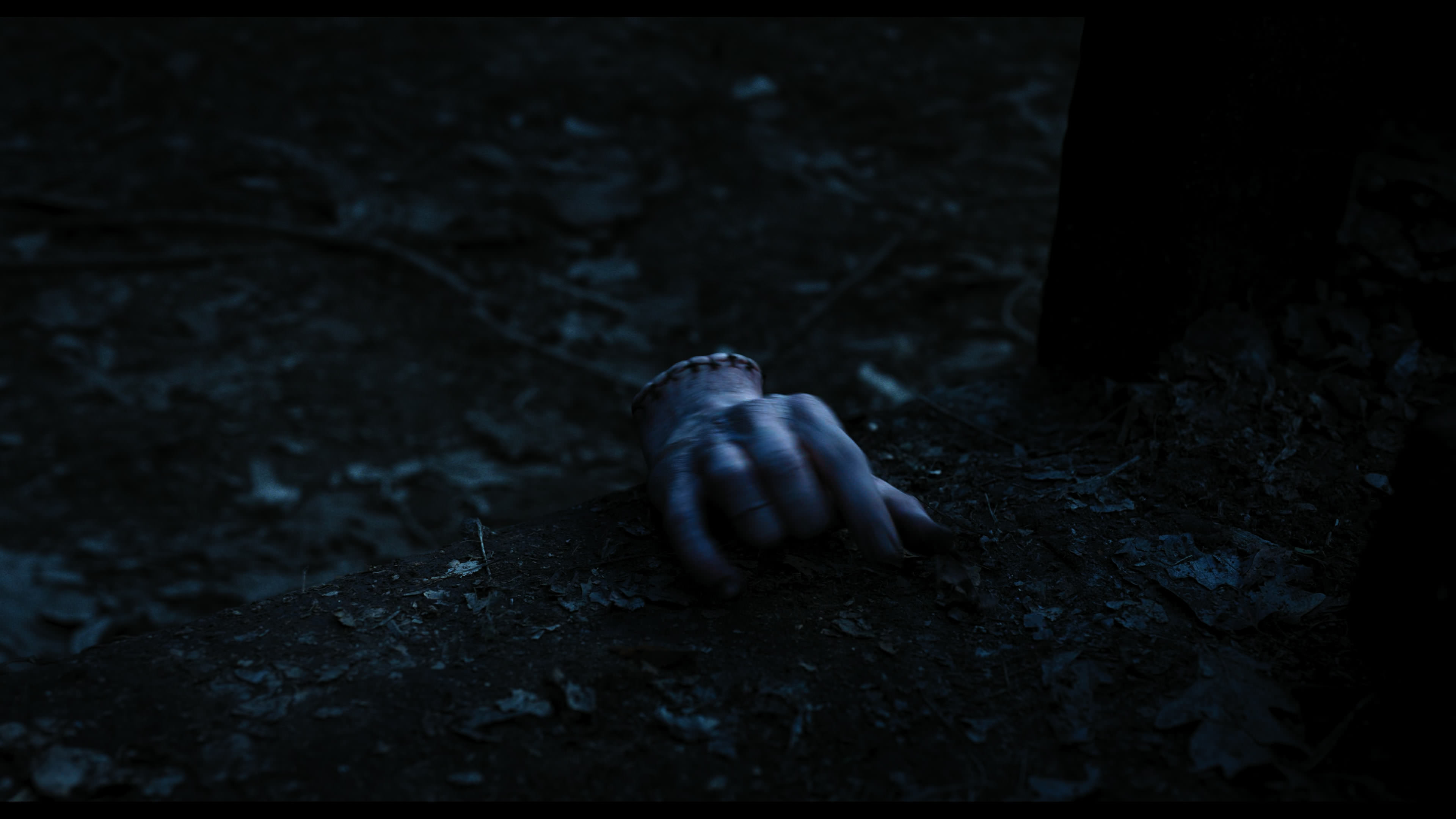 Wednesday S01E03 “Friend or Woe” screencap 3597