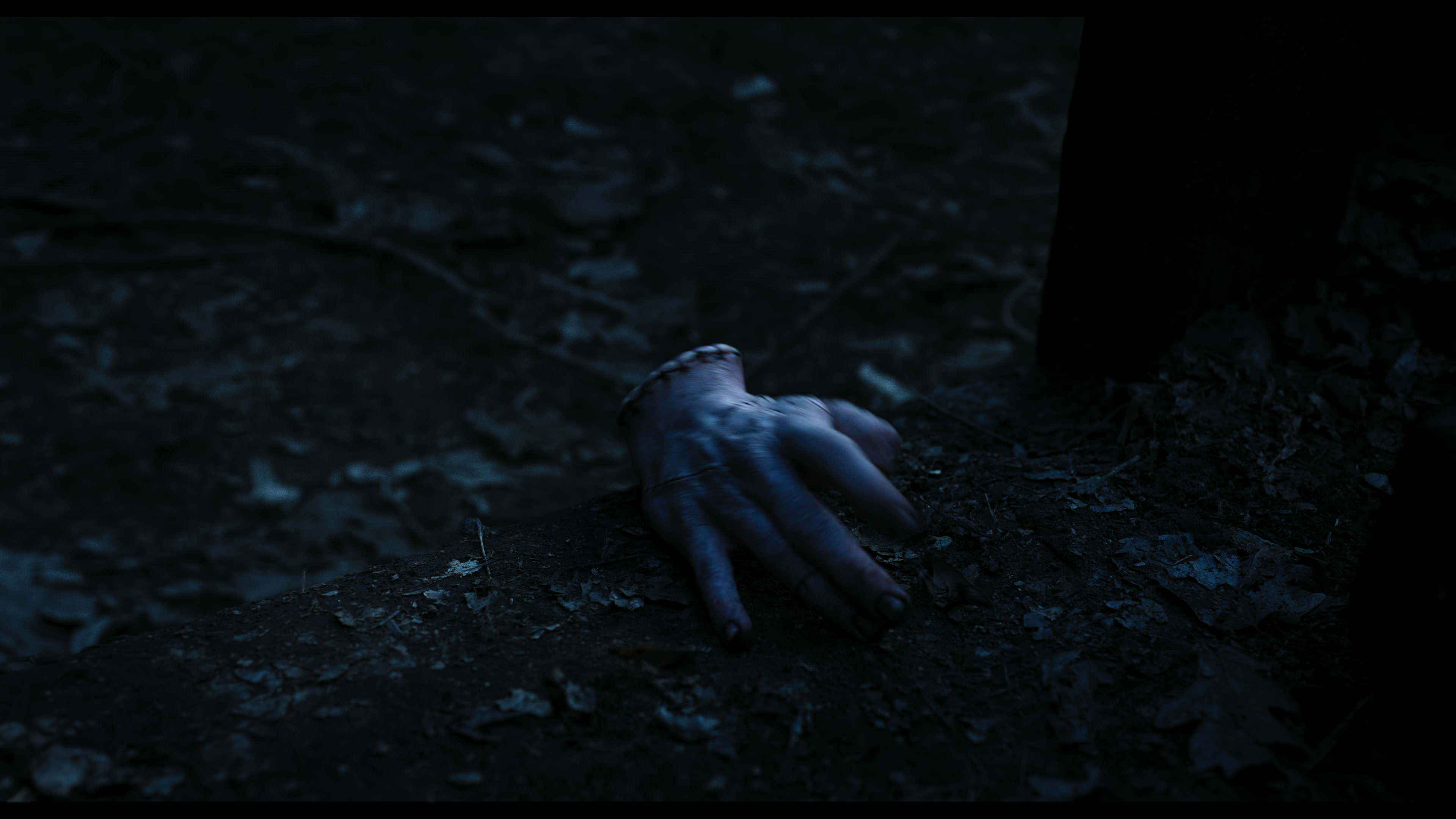 Wednesday S01E03 “Friend or Woe” movie still 3598