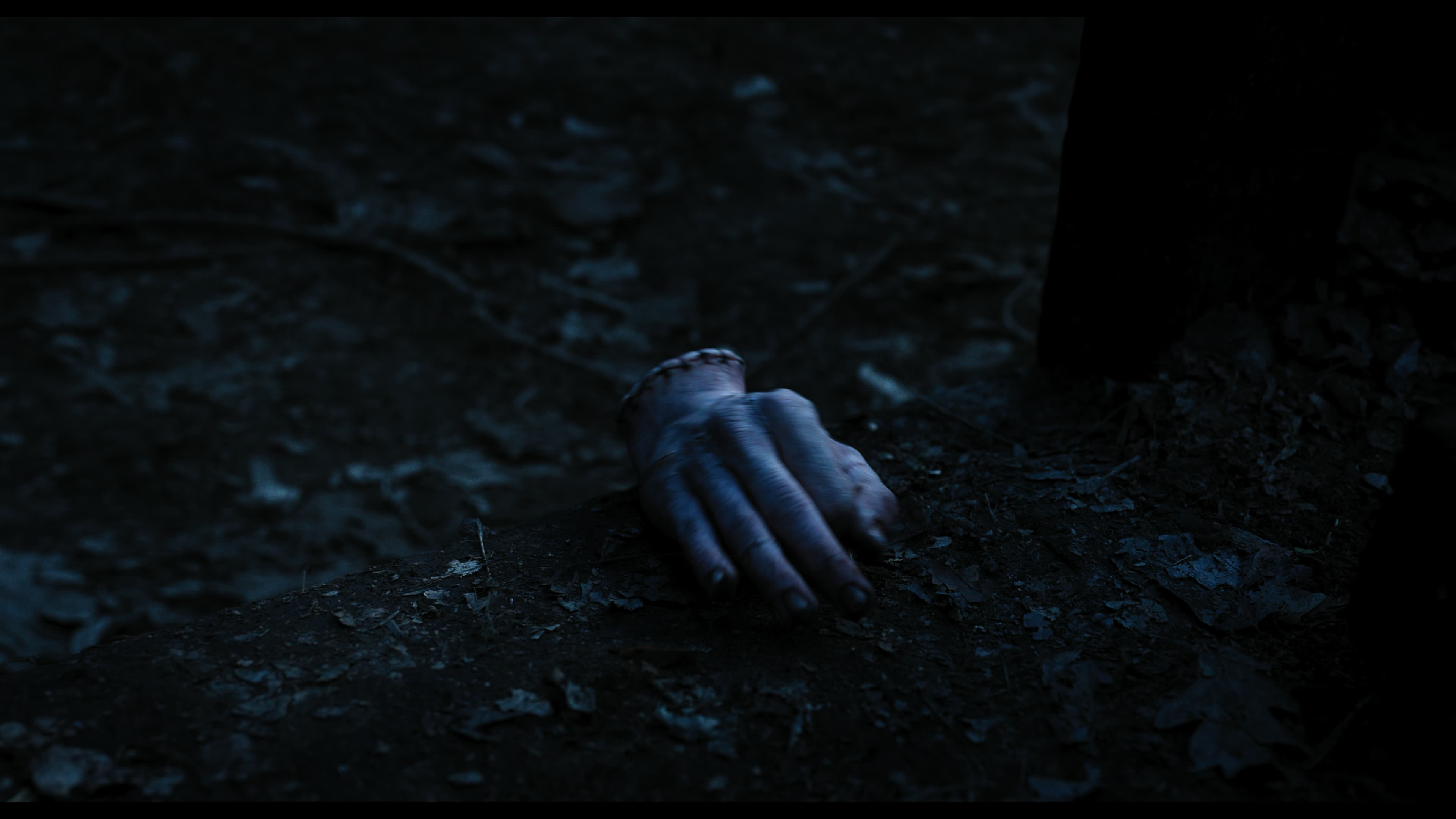 Wednesday S01E03 “Friend or Woe” HD screenshot 3599