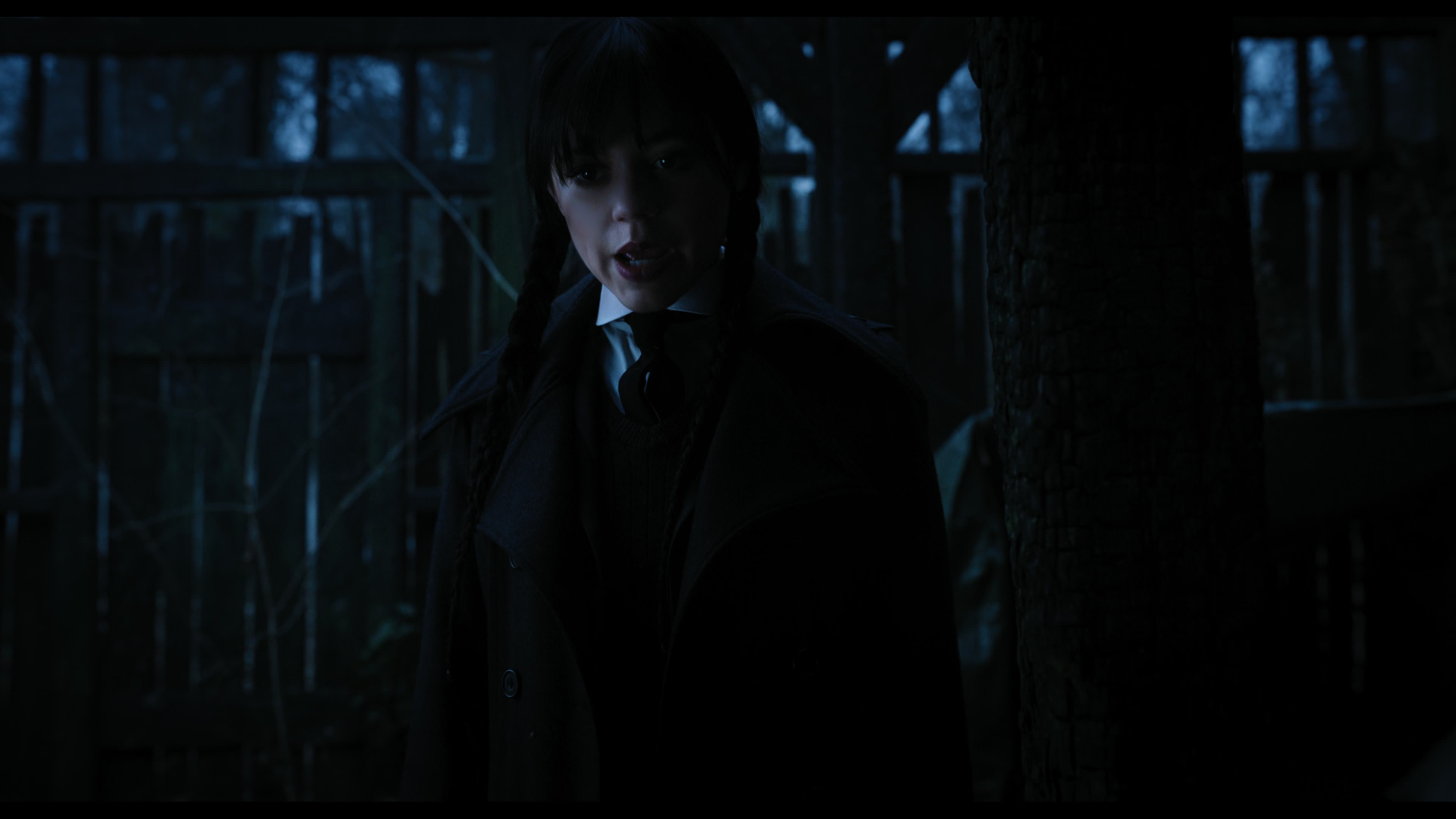 Wednesday S01E03 “Friend or Woe” movie still 3601