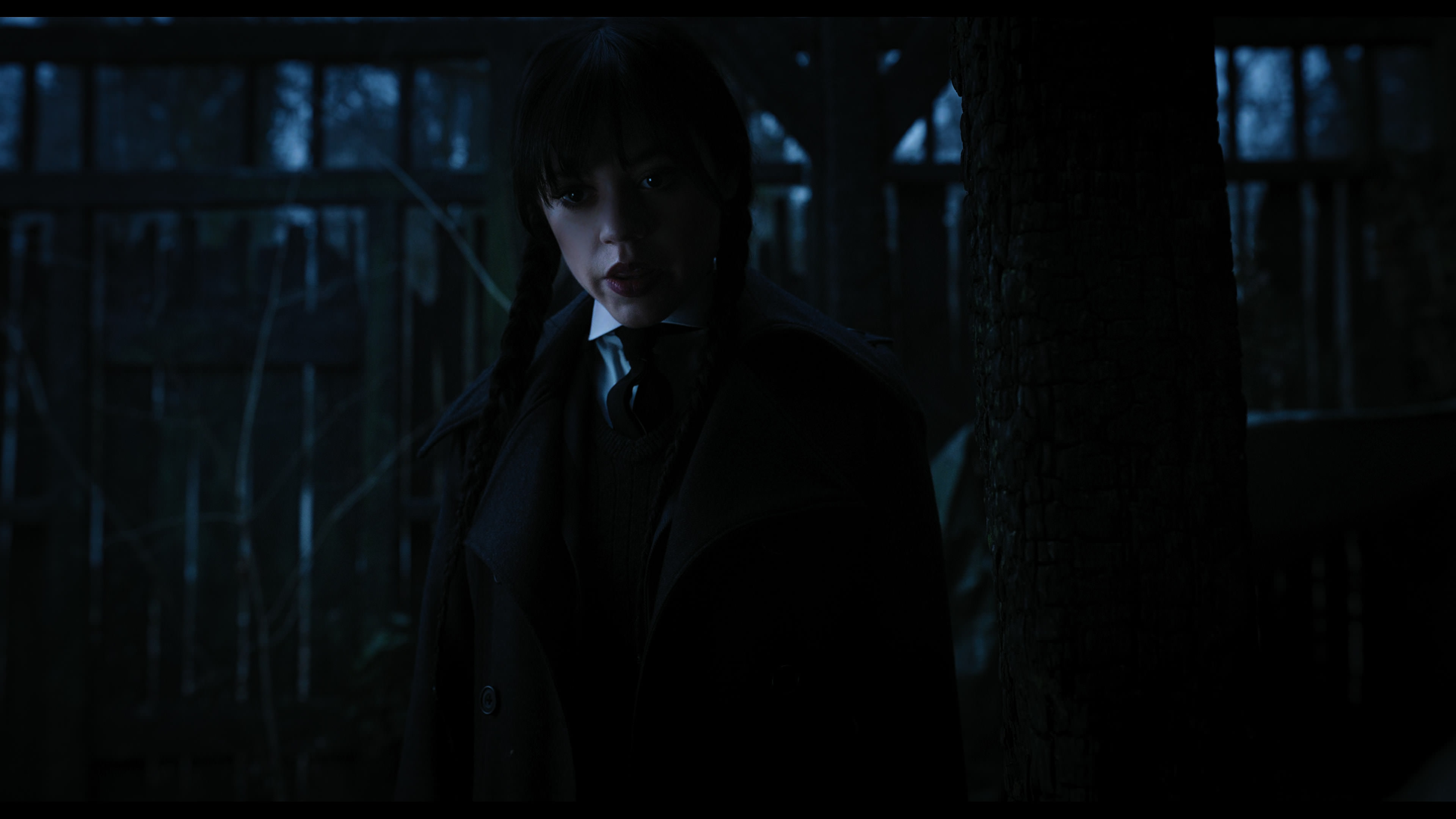 Wednesday S01E03 “Friend or Woe” movie still 3604