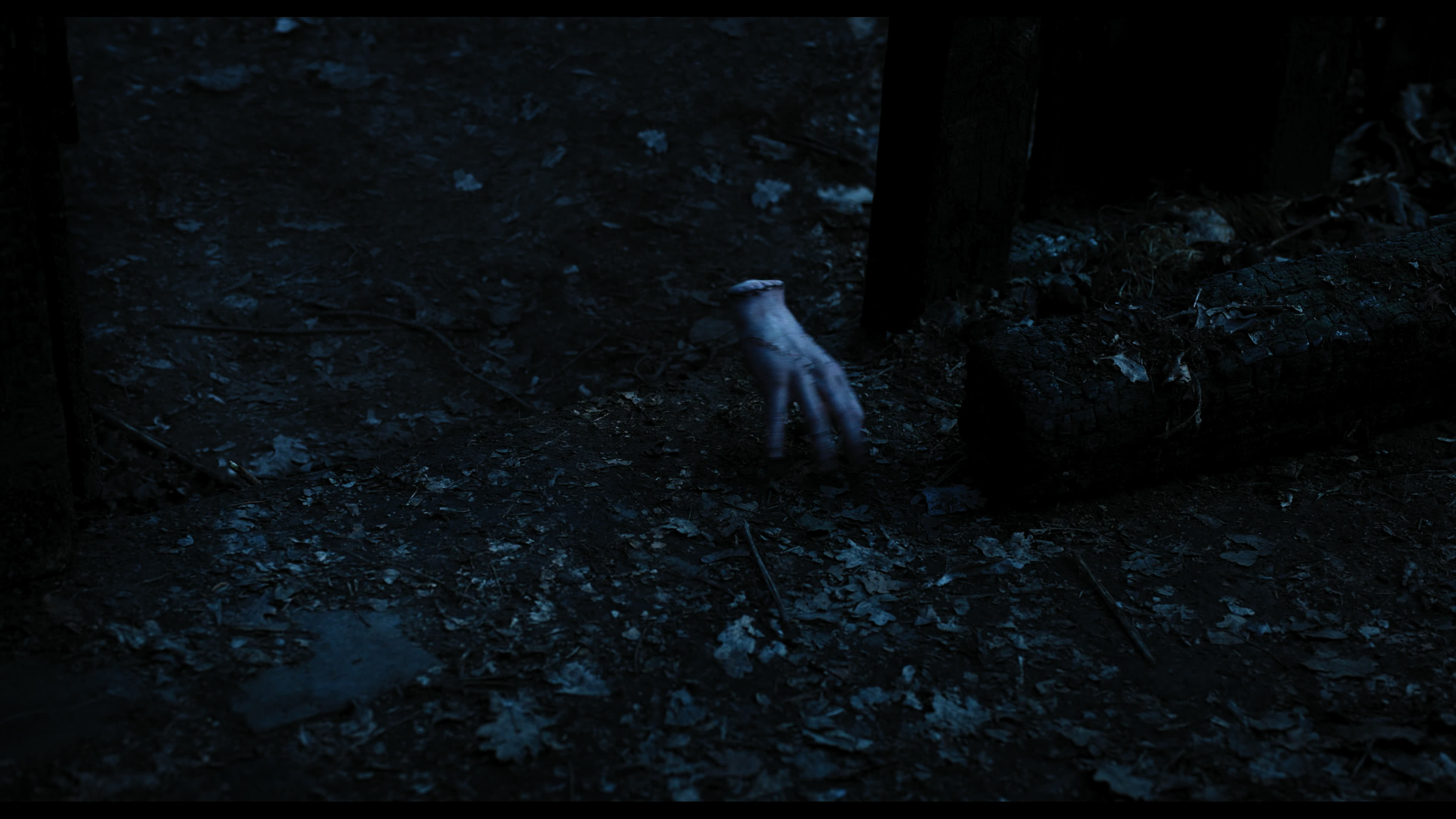 Wednesday S01E03 “Friend or Woe” movie still 3607