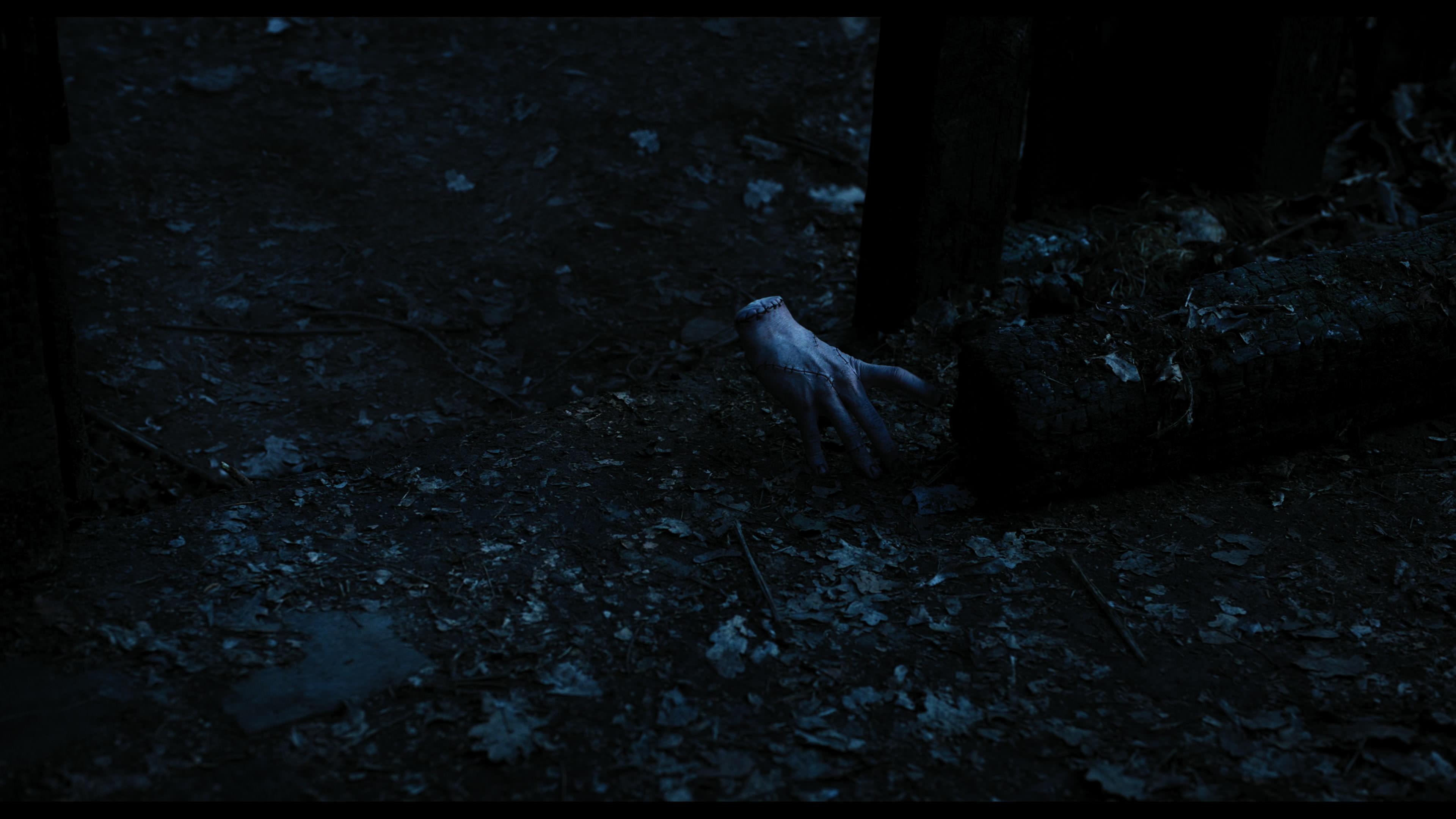 Wednesday S01E03 “Friend or Woe” HD screenshot 3608