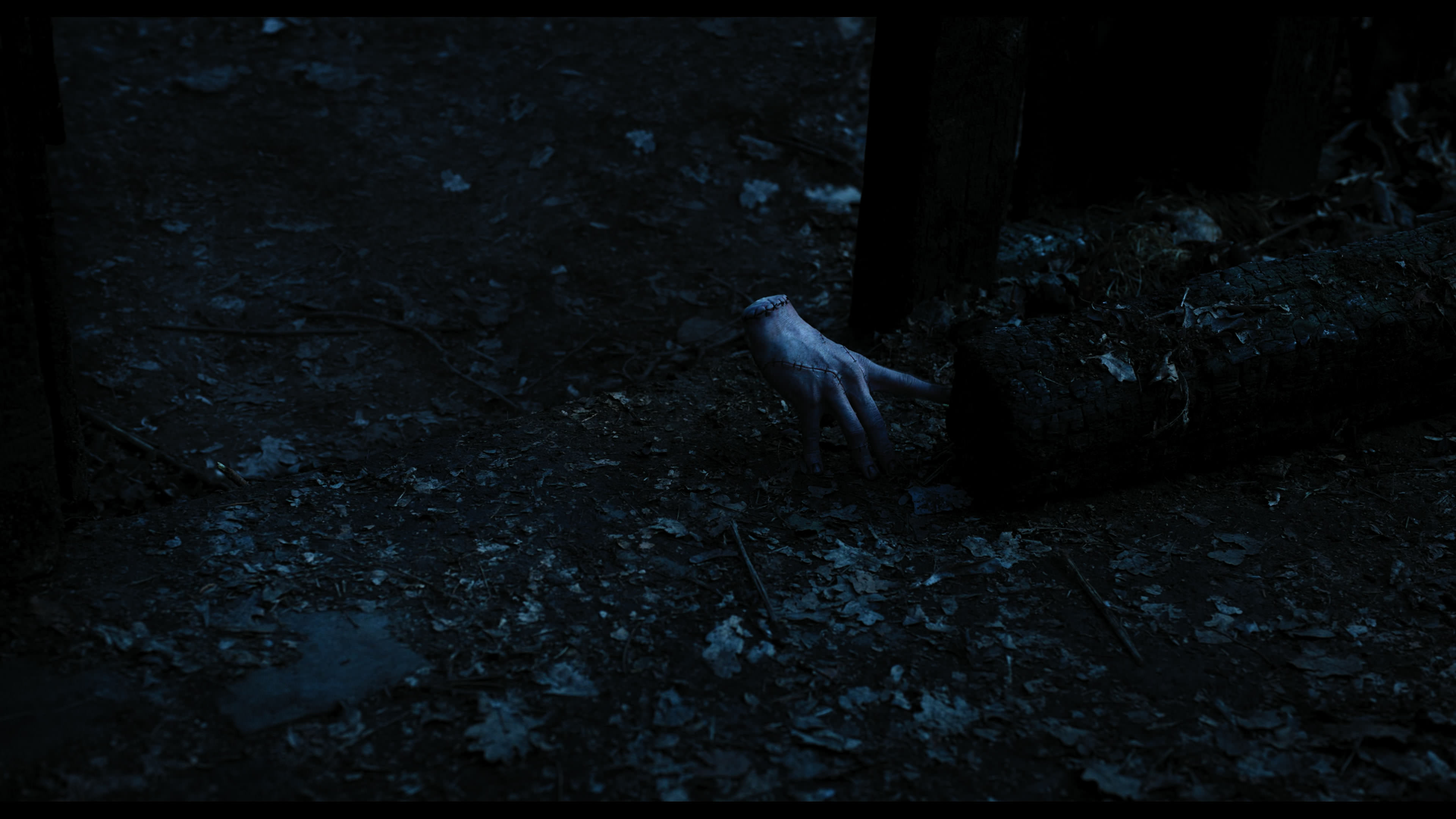 Wednesday S01E03 “Friend or Woe” screencap 3609