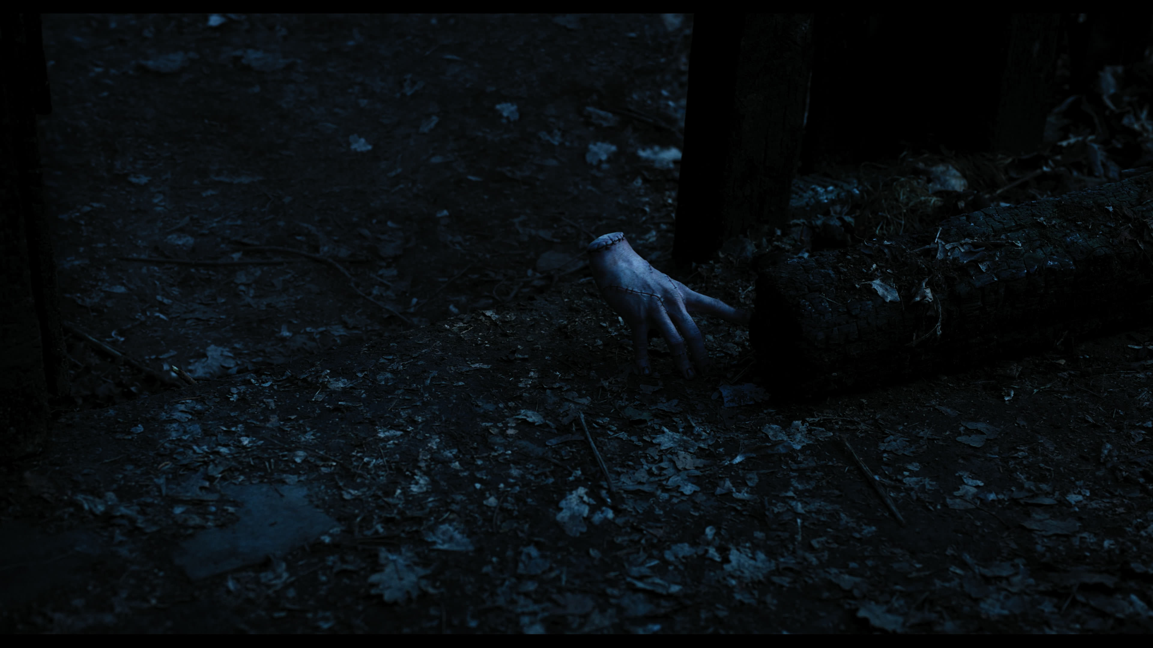 Wednesday S01E03 “Friend or Woe” HD screenshot 3611