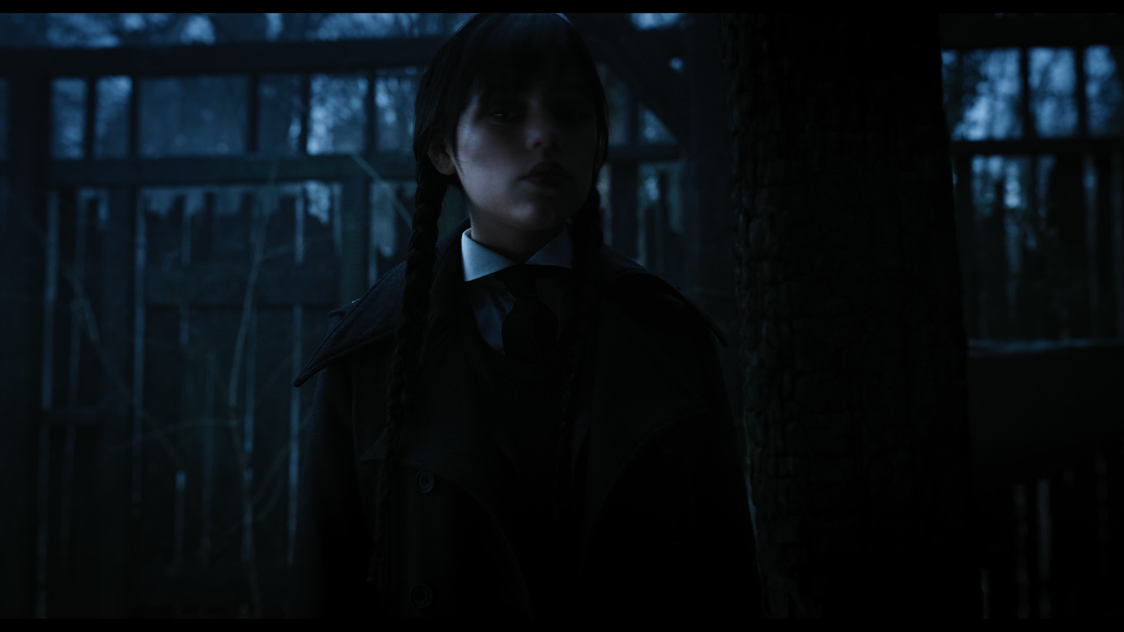 Wednesday S01E03 “Friend or Woe” movie still 3613