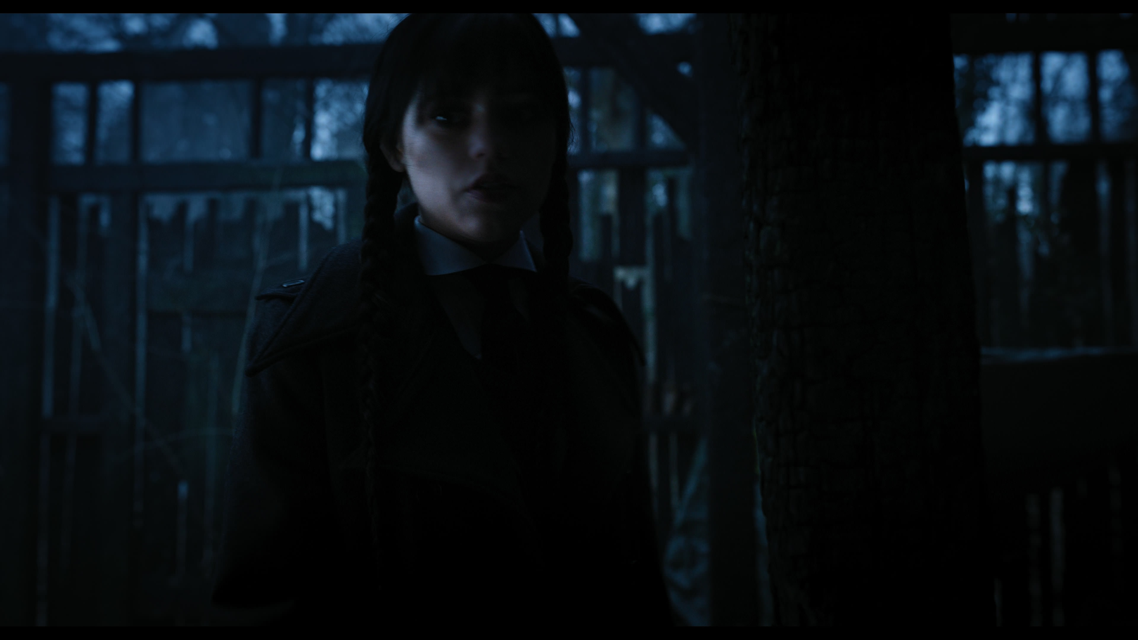 Wednesday S01E03 “Friend or Woe” movie still 3616