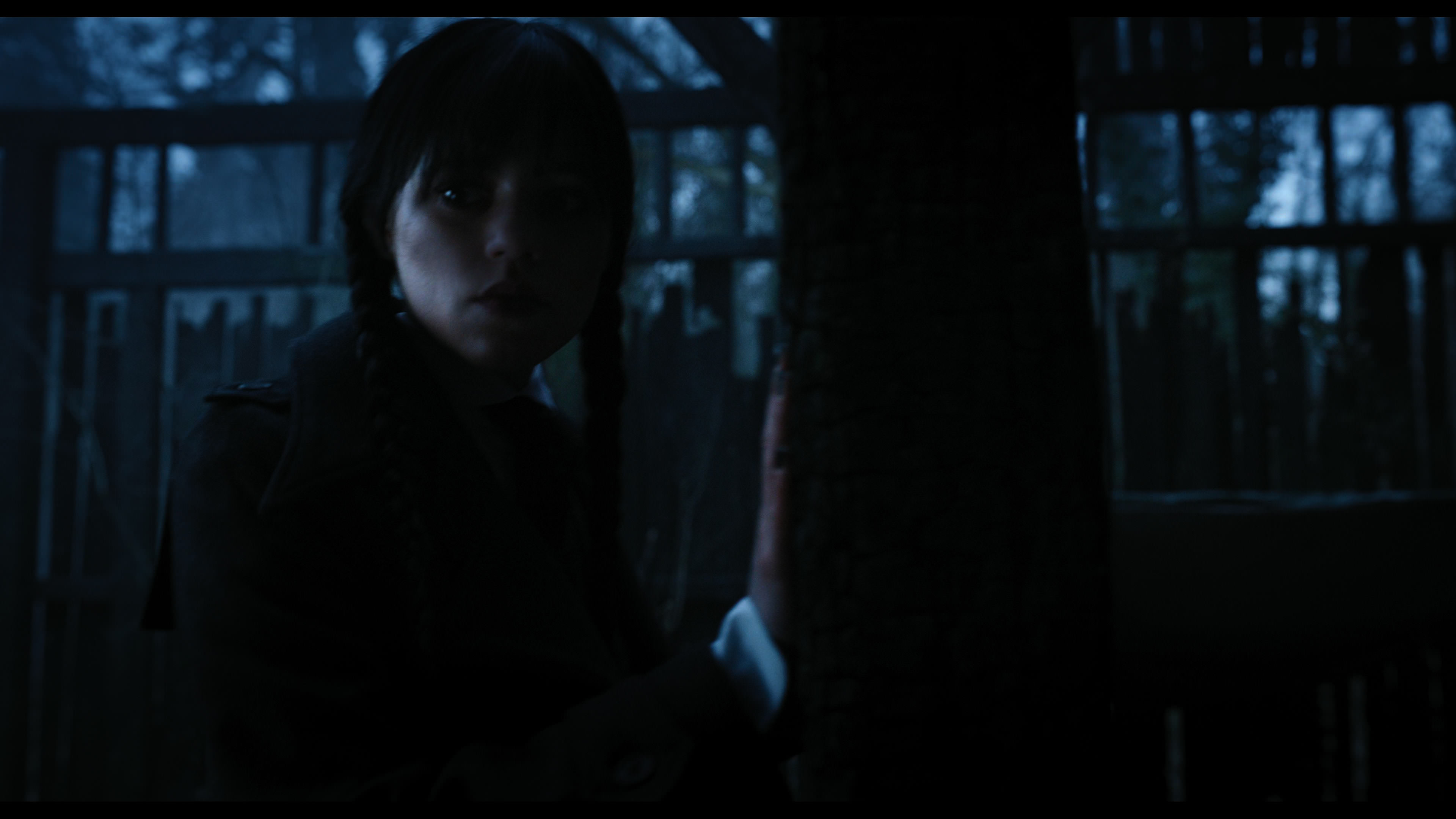 Wednesday S01E03 “Friend or Woe” movie still 3619