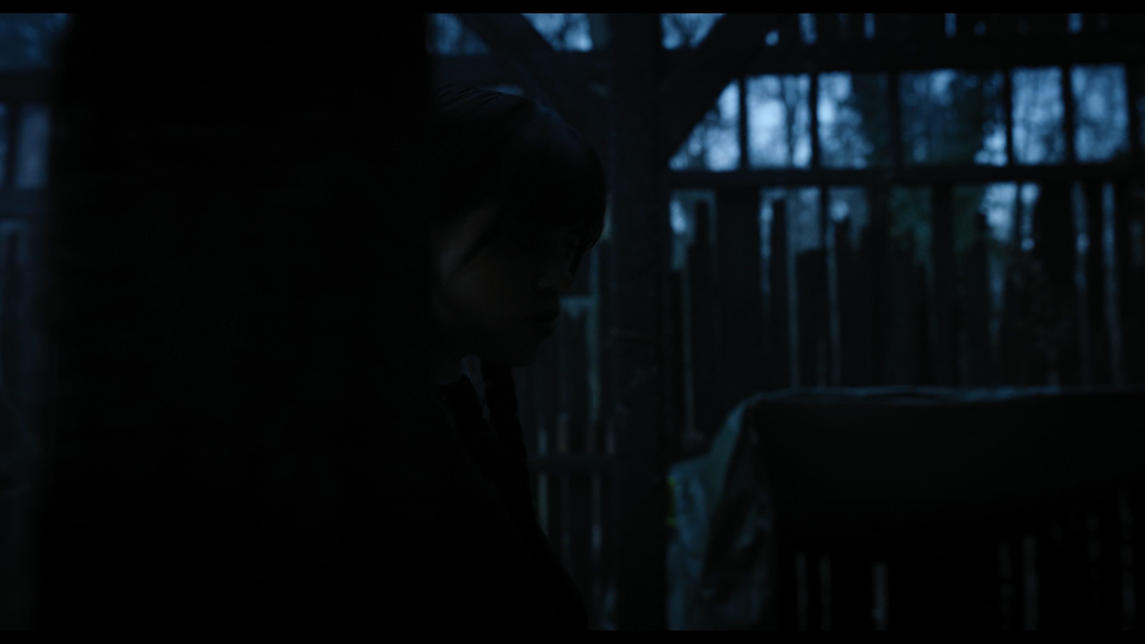 Wednesday S01E03 “Friend or Woe” screencap 3621