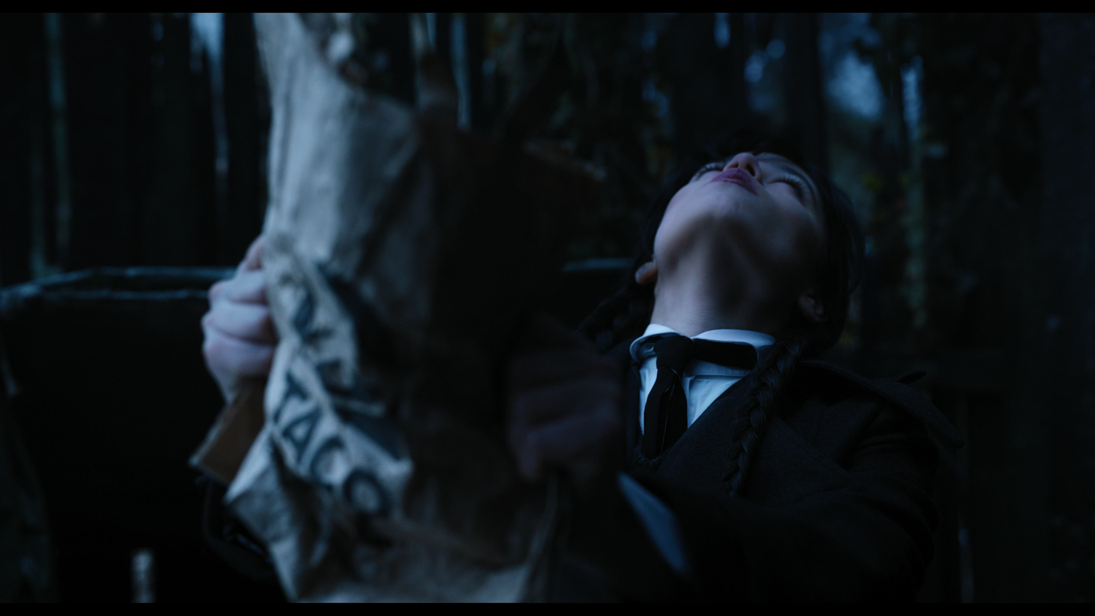 Wednesday S01E03 “Friend or Woe” movie still 3649