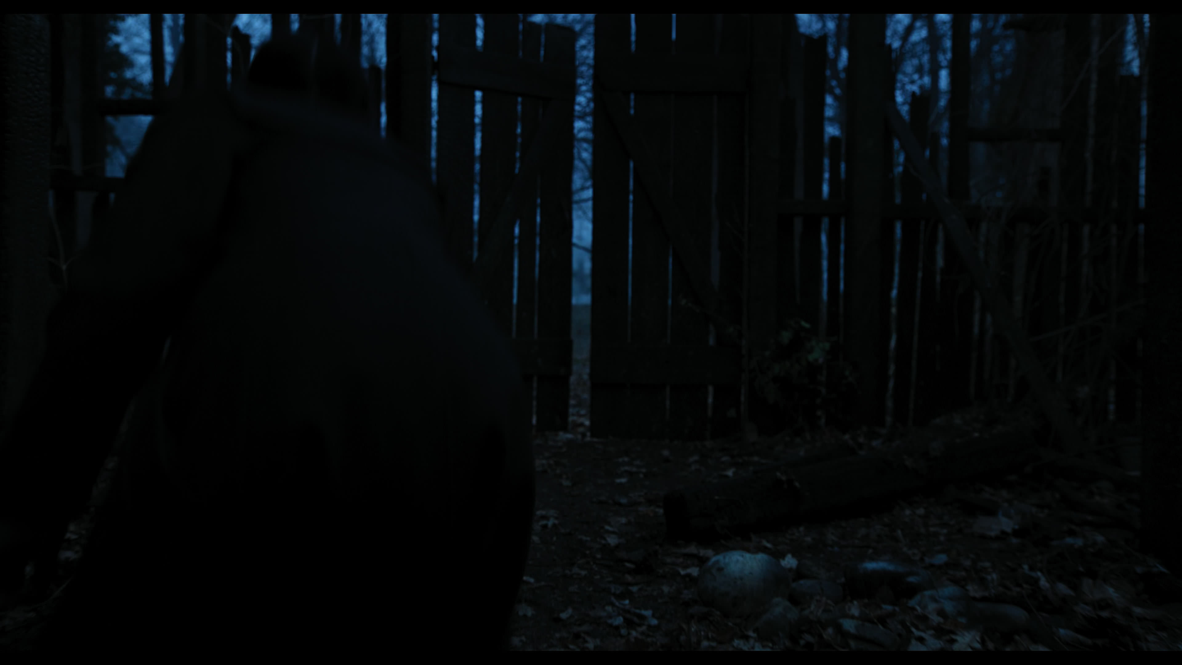 Wednesday S01E03 “Friend or Woe” movie still 3664