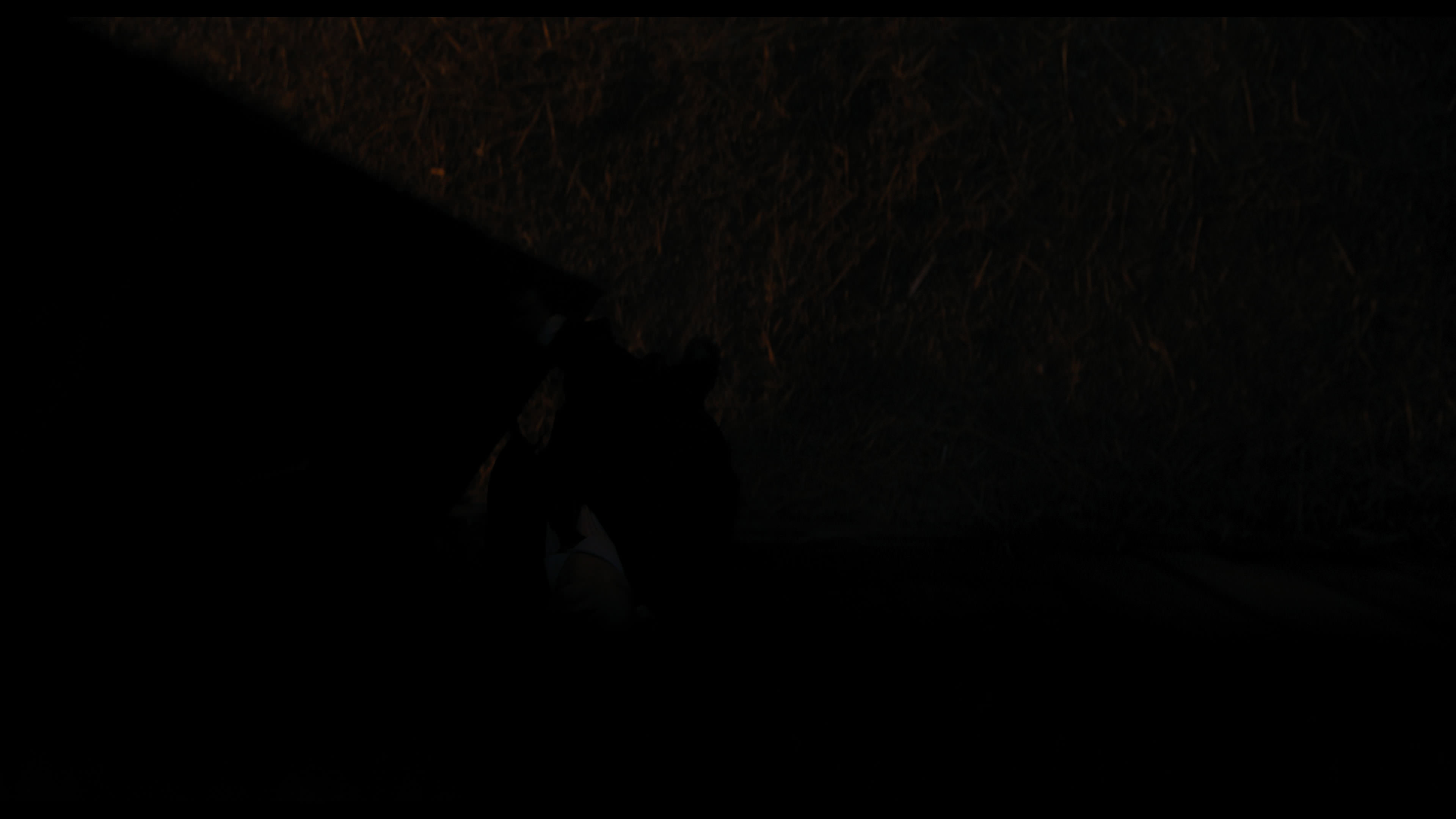 Wednesday S01E03 “Friend or Woe” screencap 3675