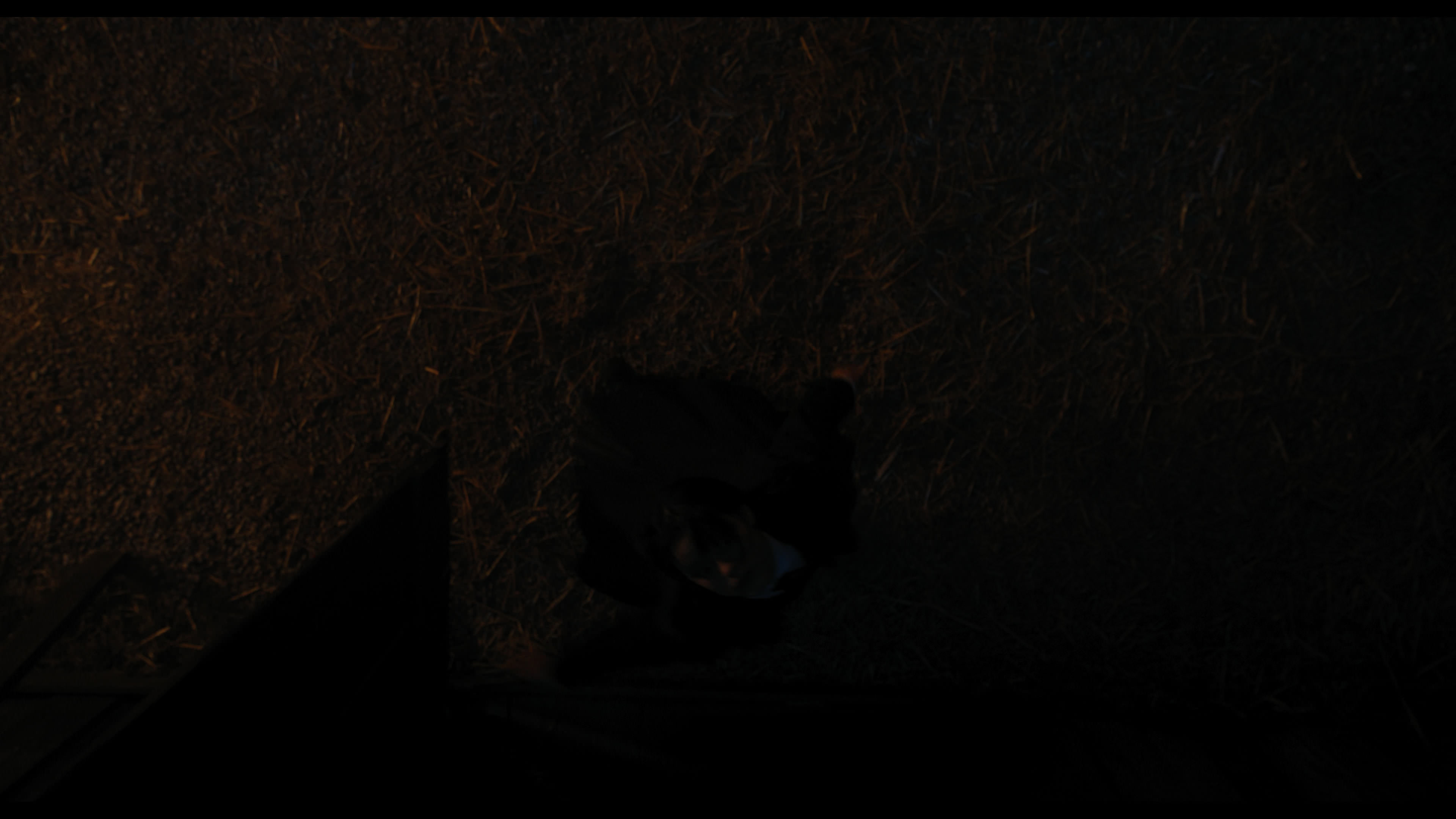 Wednesday S01E03 “Friend or Woe” screencap 3678