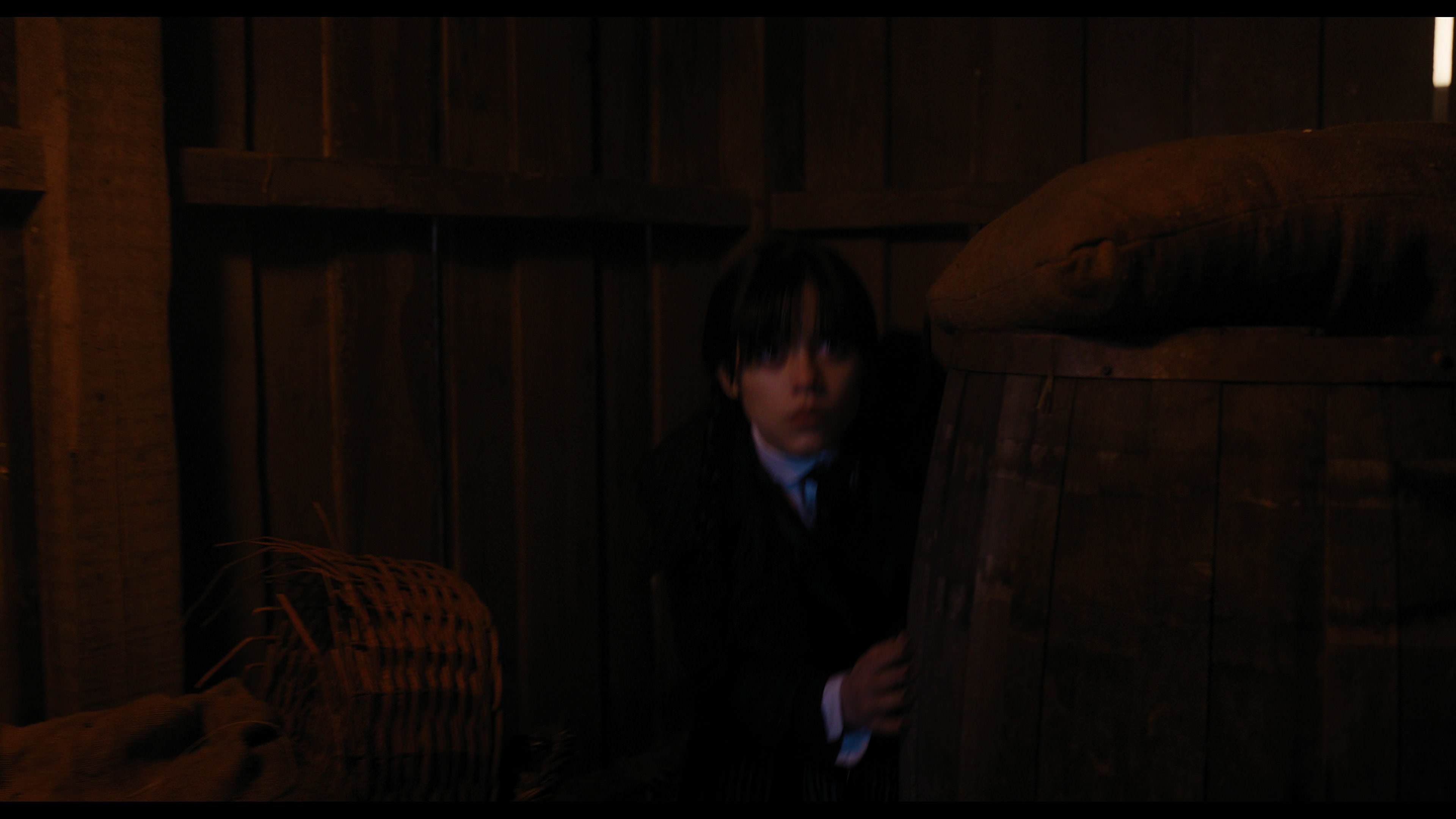 Wednesday S01E03 “Friend or Woe” screencap 3930