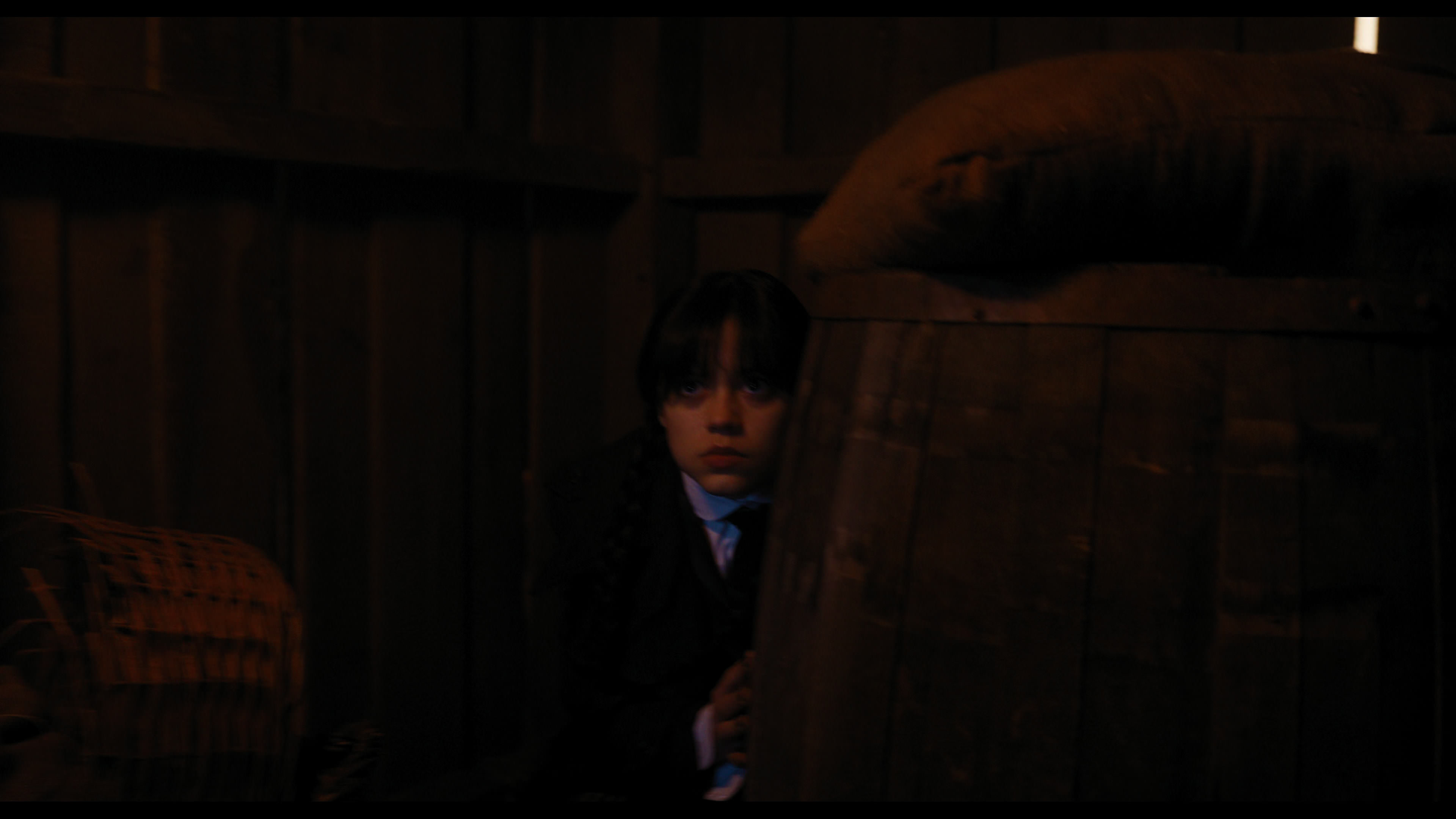 Wednesday S01E03 “Friend or Woe” movie still 3931