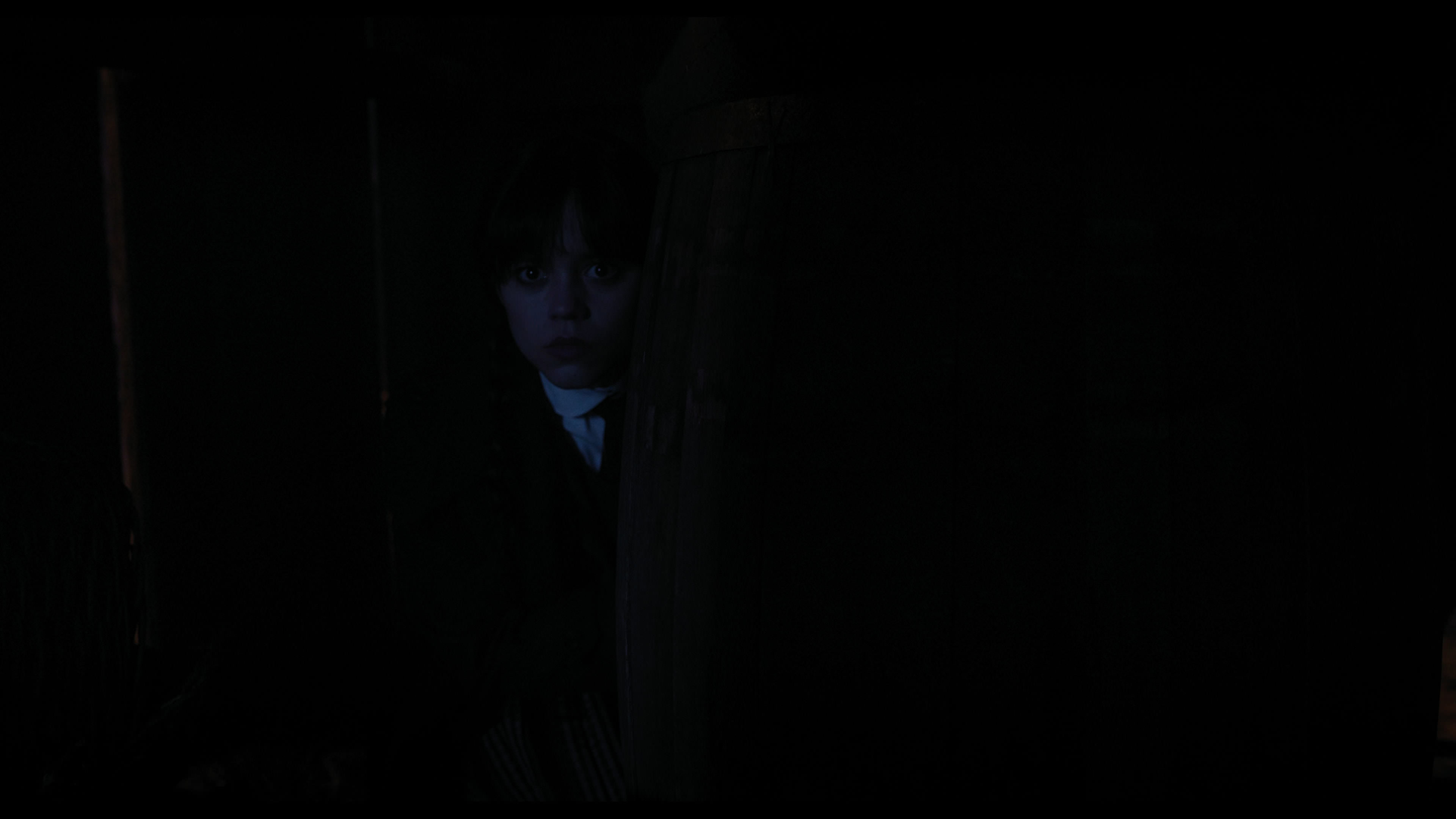 Wednesday S01E03 “Friend or Woe” movie still 3982