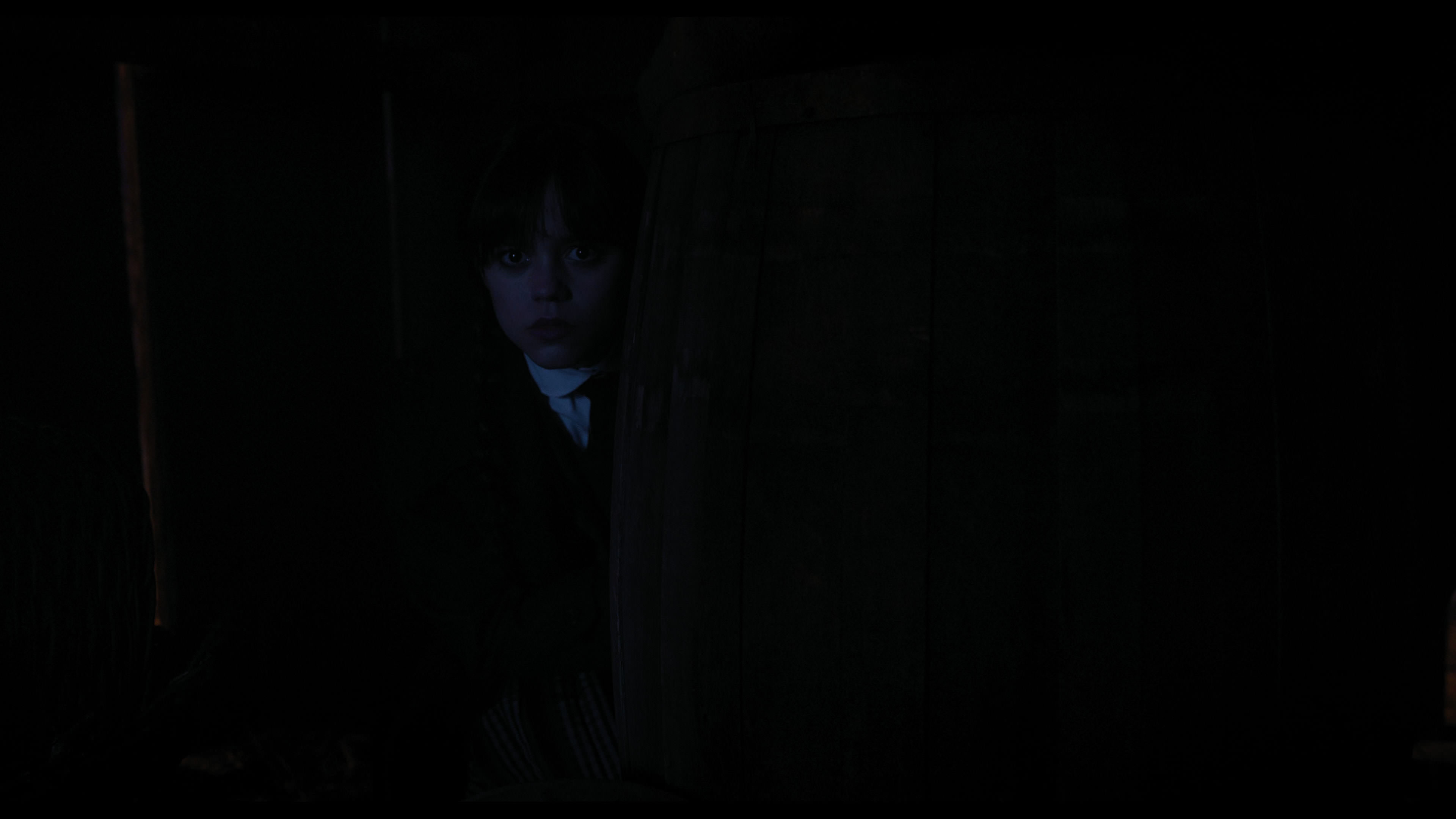 Wednesday S01E03 “Friend or Woe” screencap 3984