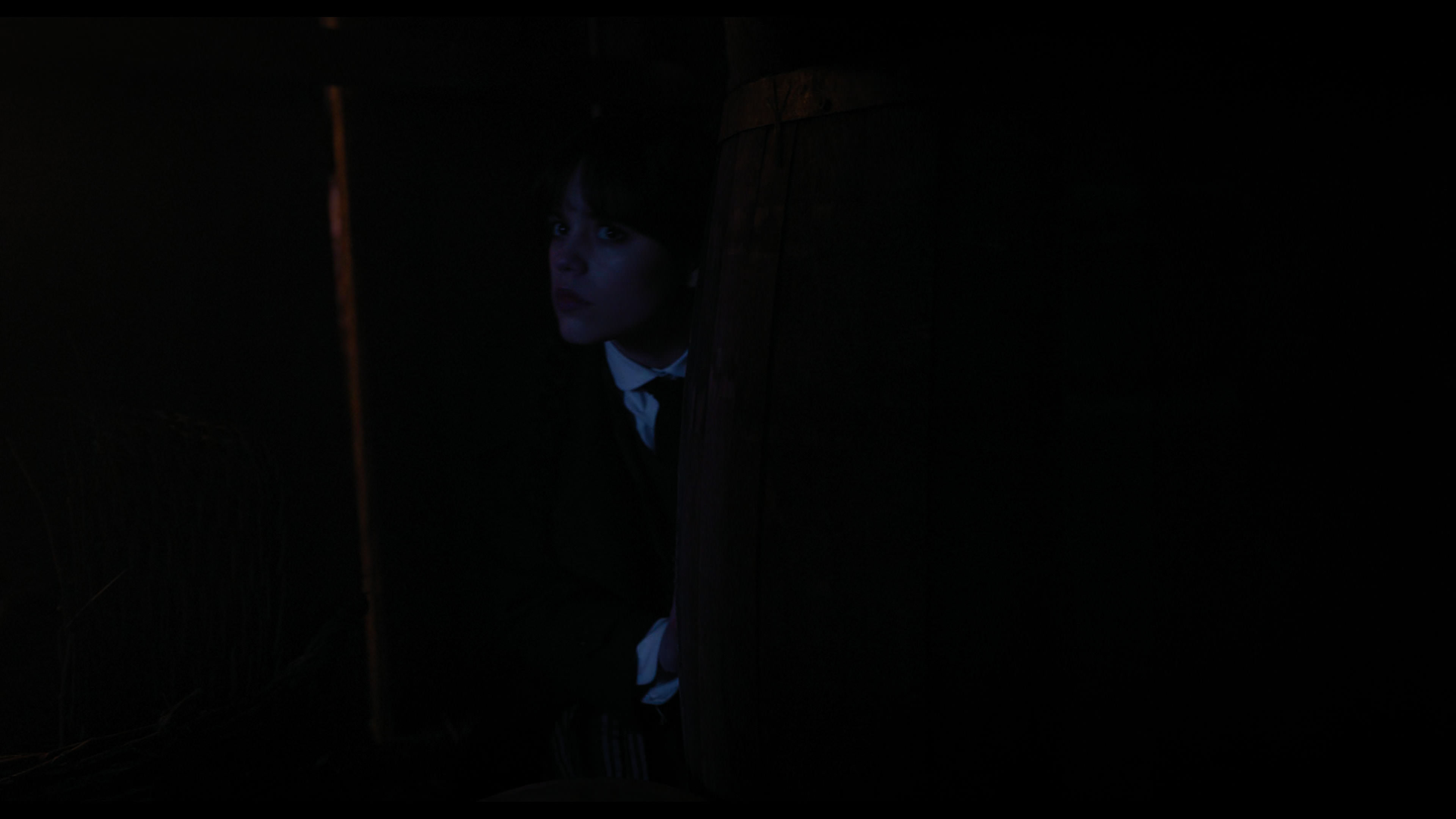 Wednesday S01E03 “Friend or Woe” screencap 4020