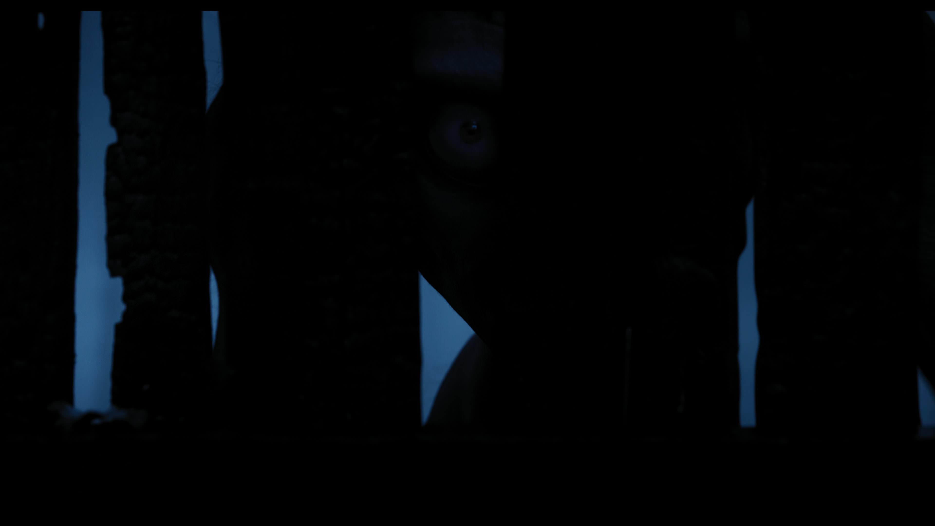 Wednesday S01E03 “Friend or Woe” screencap 4338