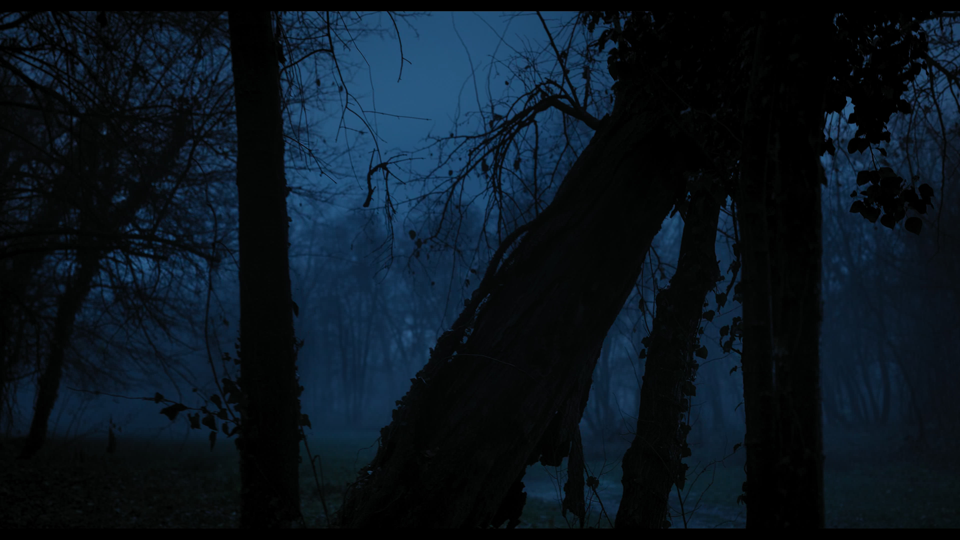 Wednesday S01E03 “Friend or Woe” screencap 4350