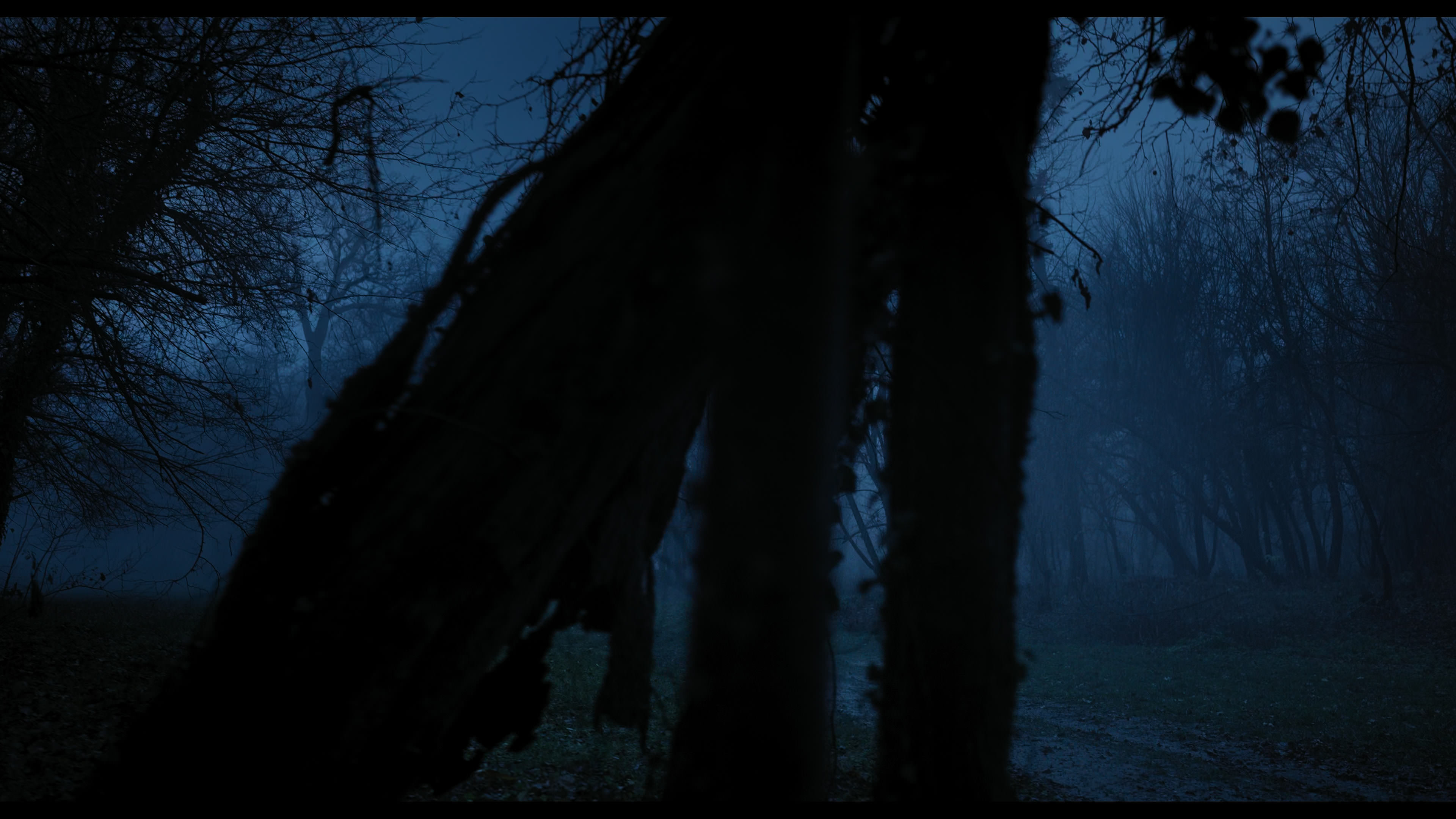 Wednesday S01E03 “Friend or Woe” movie still 4354