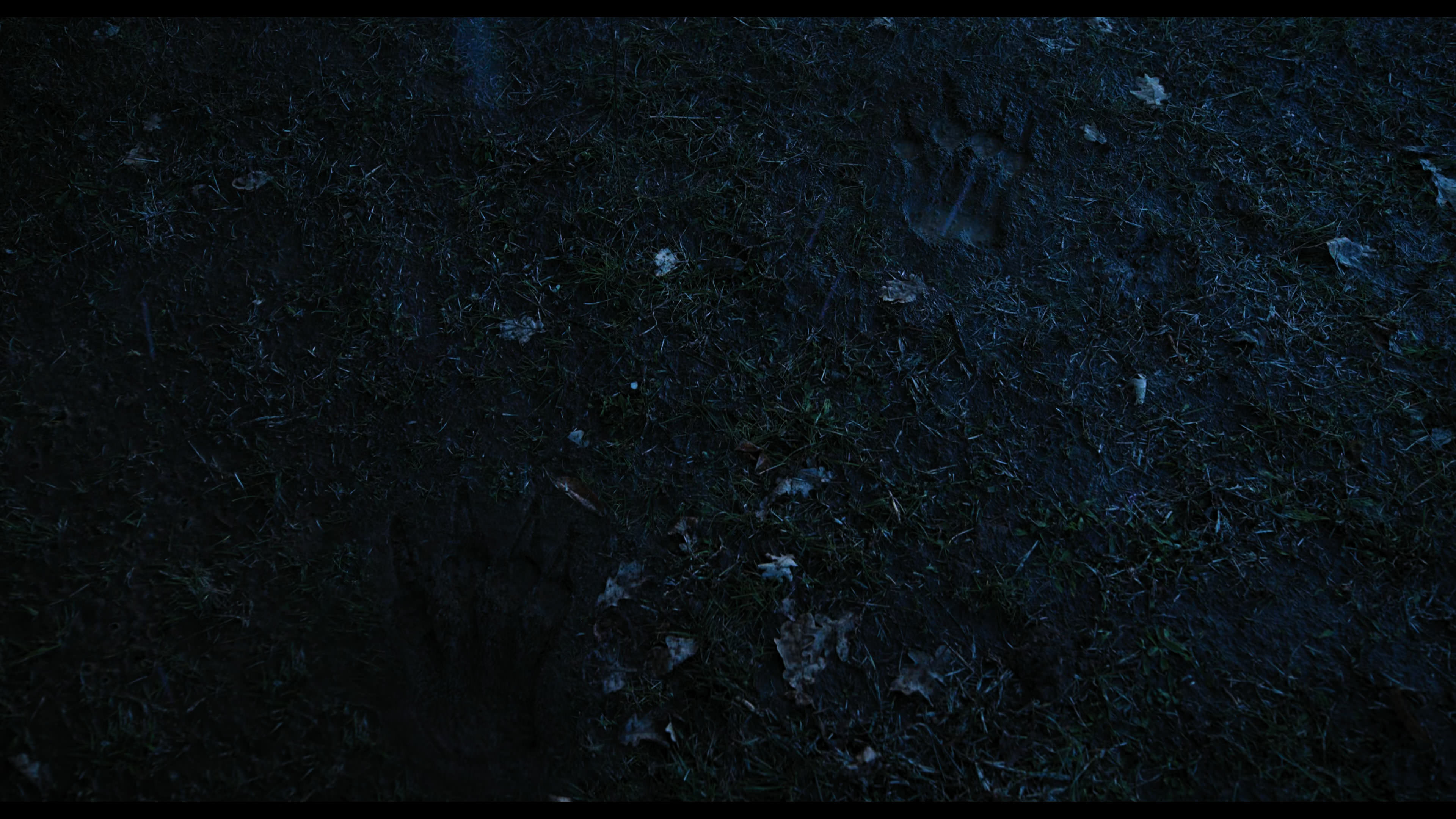 Wednesday S01E03 “Friend or Woe” screencap 4368