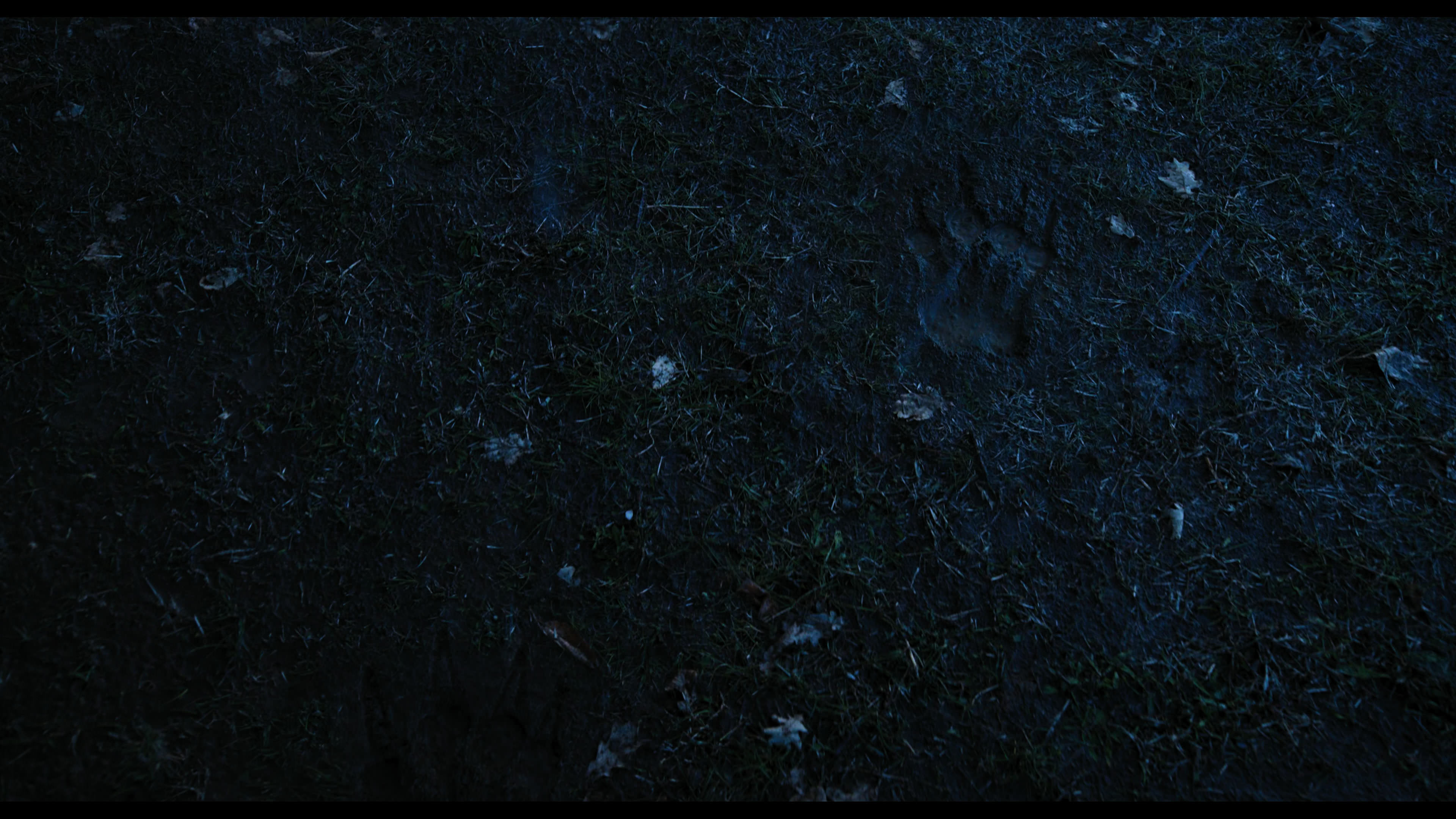 Wednesday S01E03 “Friend or Woe” HD screenshot 4370