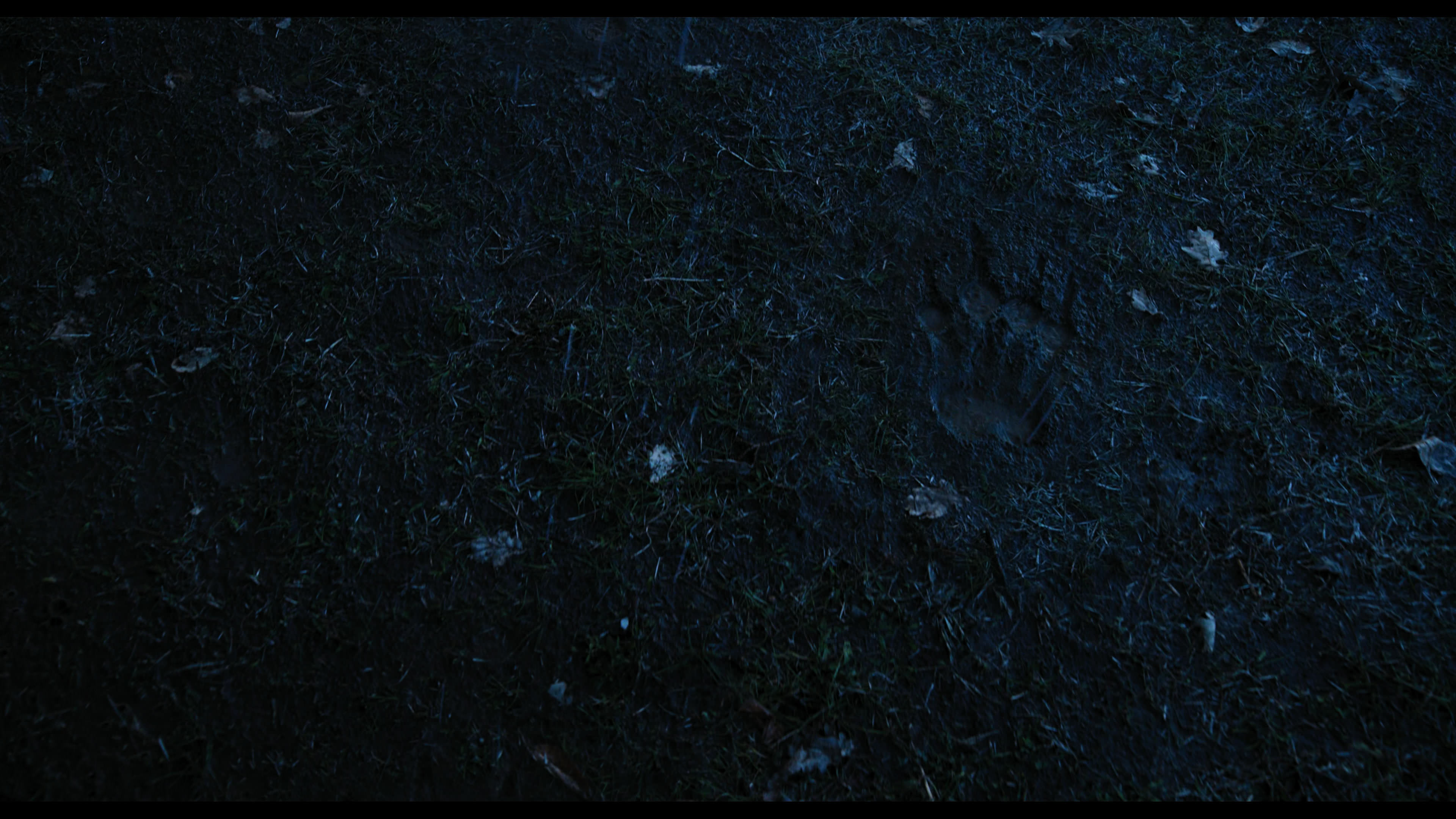 Wednesday S01E03 “Friend or Woe” screencap 4371