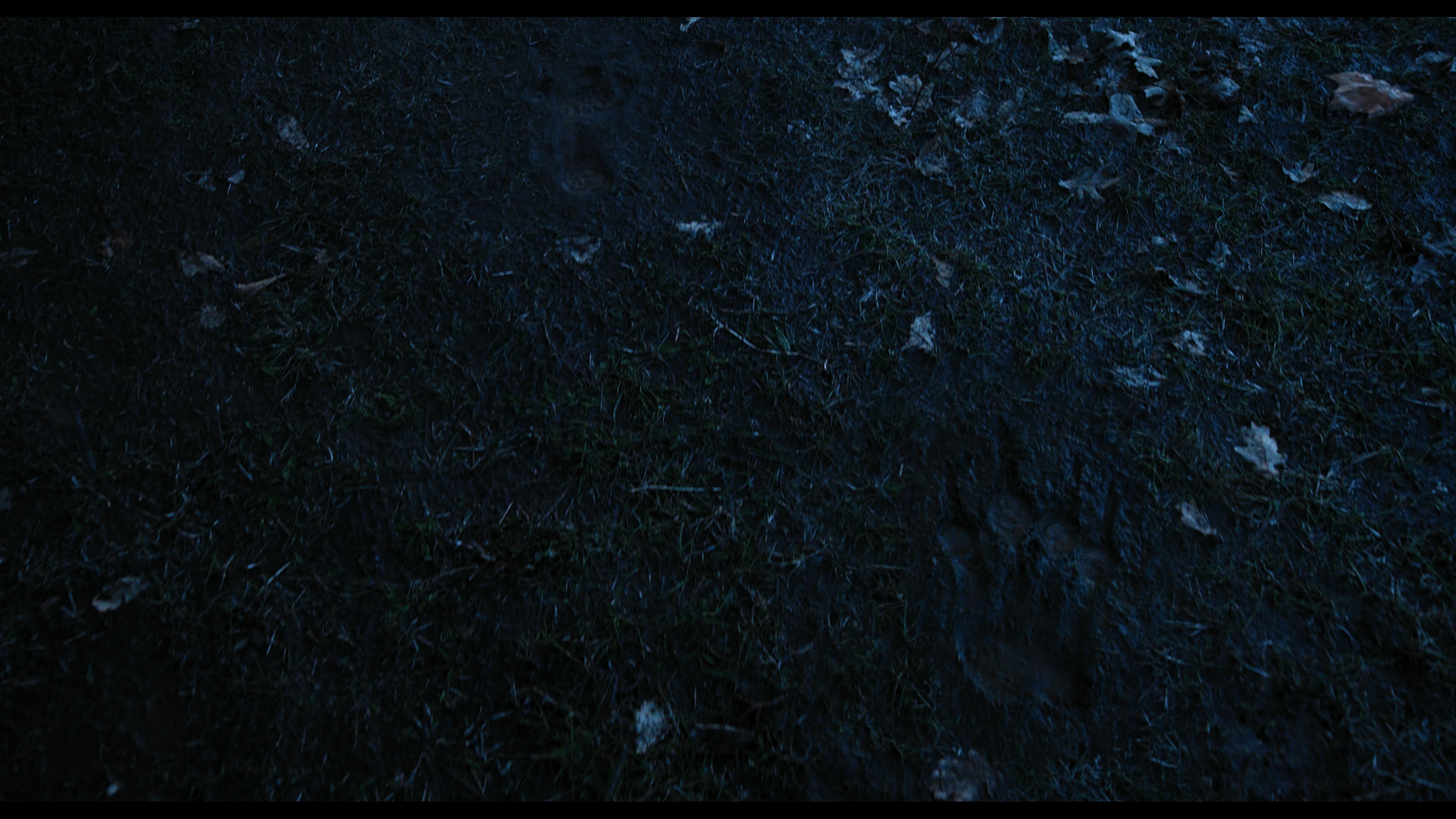 Wednesday S01E03 “Friend or Woe” HD screenshot 4373