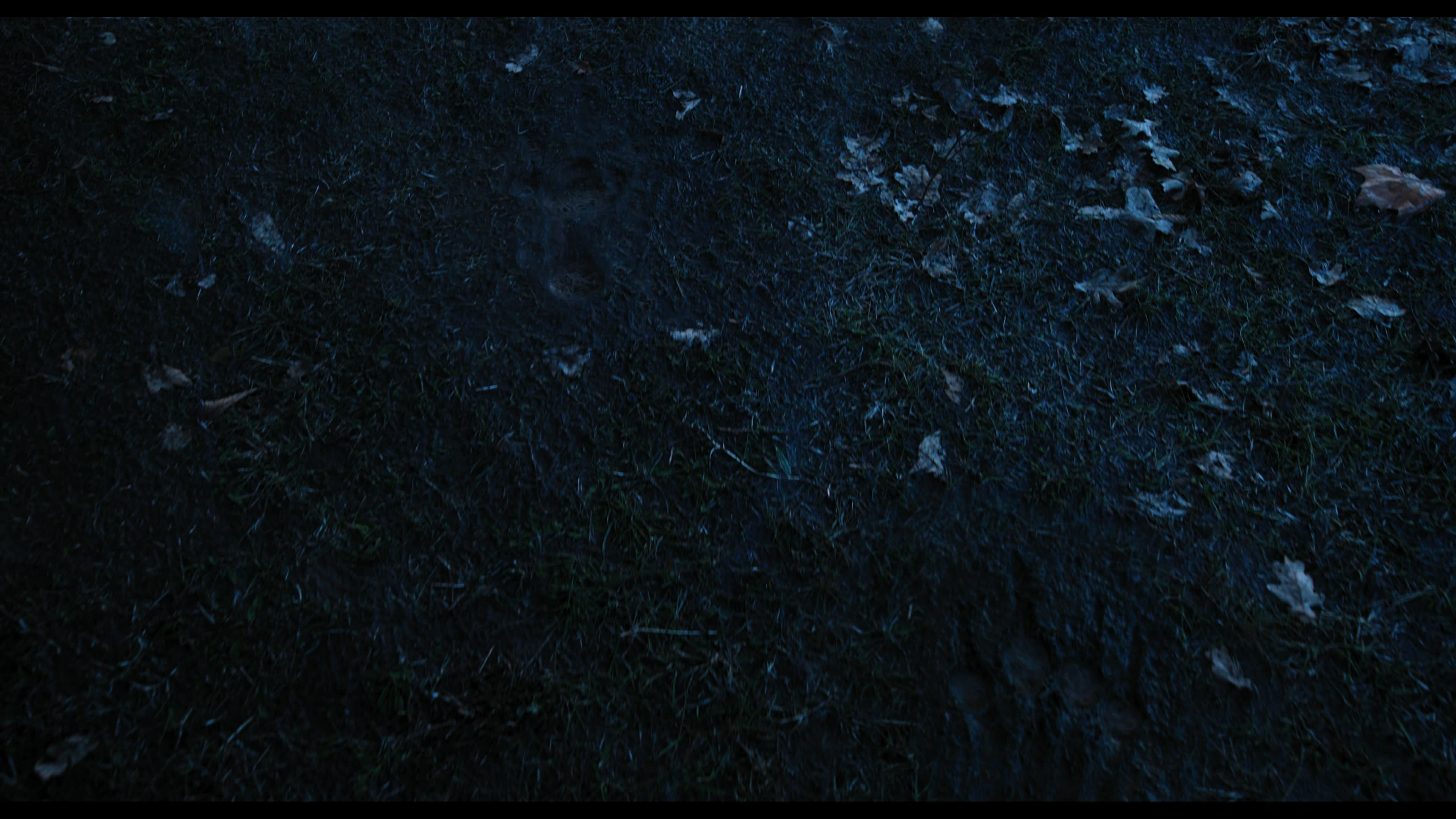 Wednesday S01E03 “Friend or Woe” screencap 4374