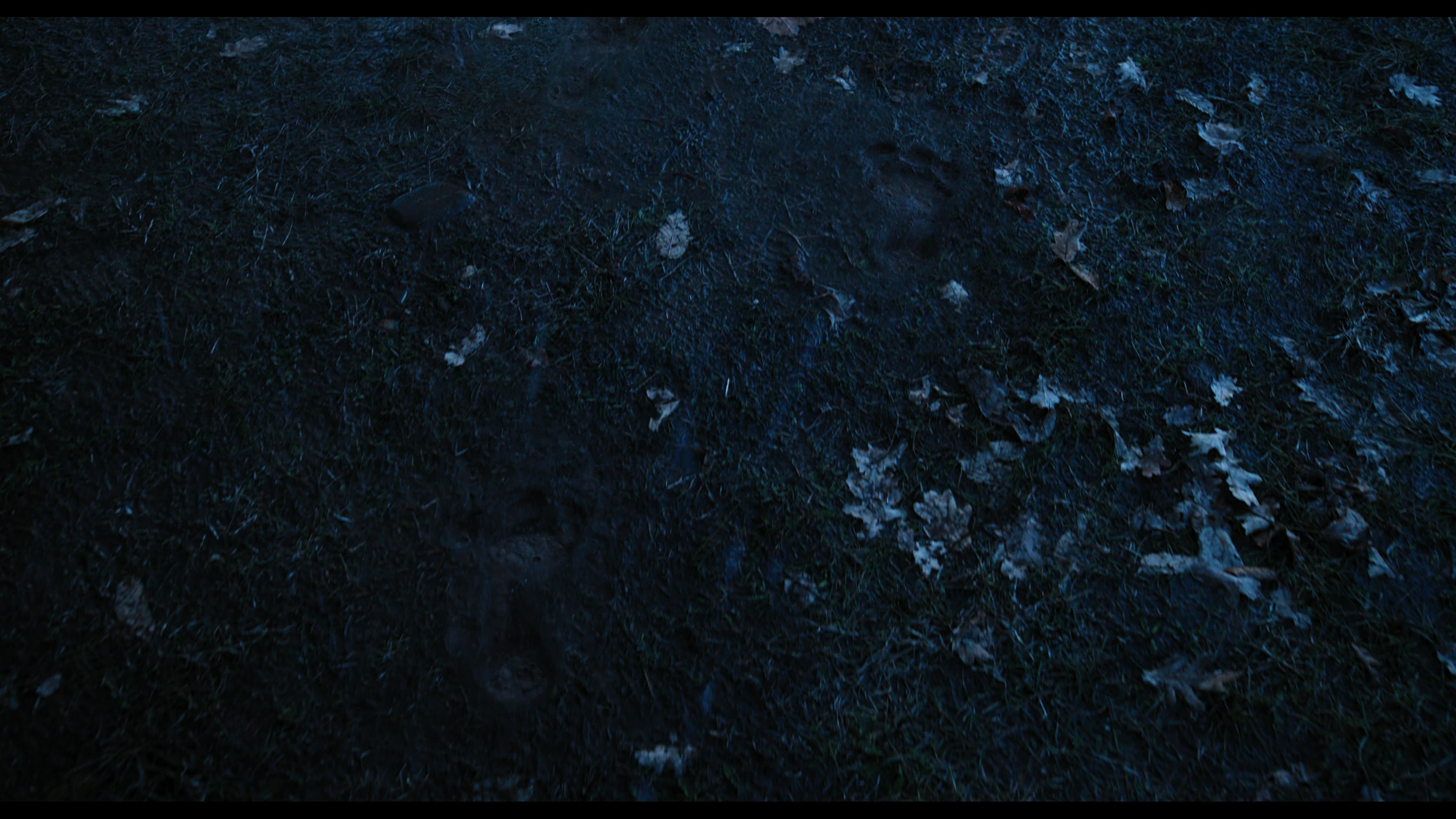Wednesday S01E03 “Friend or Woe” screencap 4377