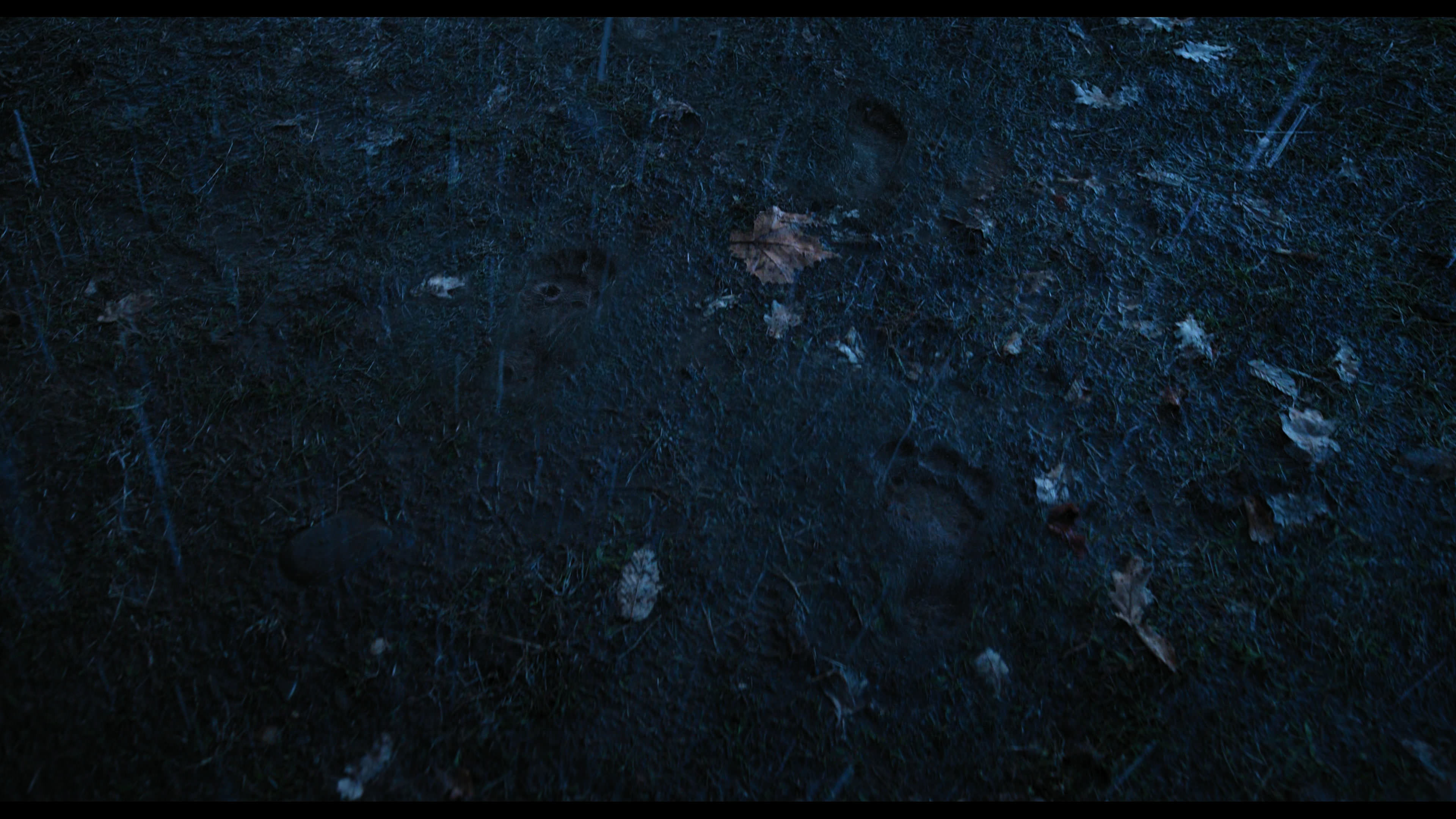 Wednesday S01E03 “Friend or Woe” screencap 4380