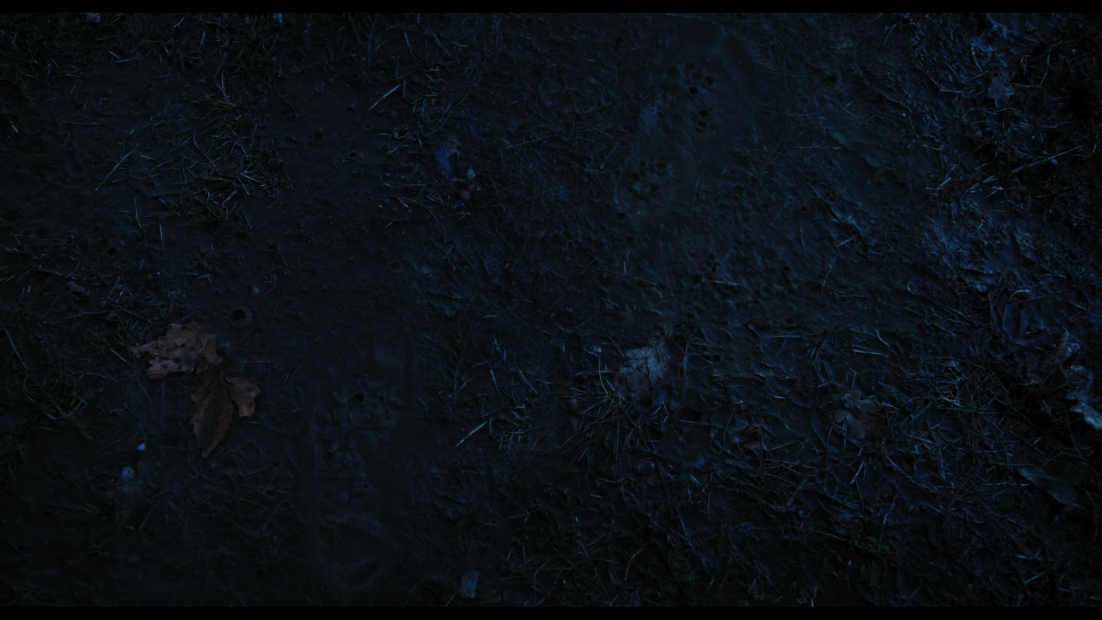 Wednesday S01E03 “Friend or Woe” screencap 4392