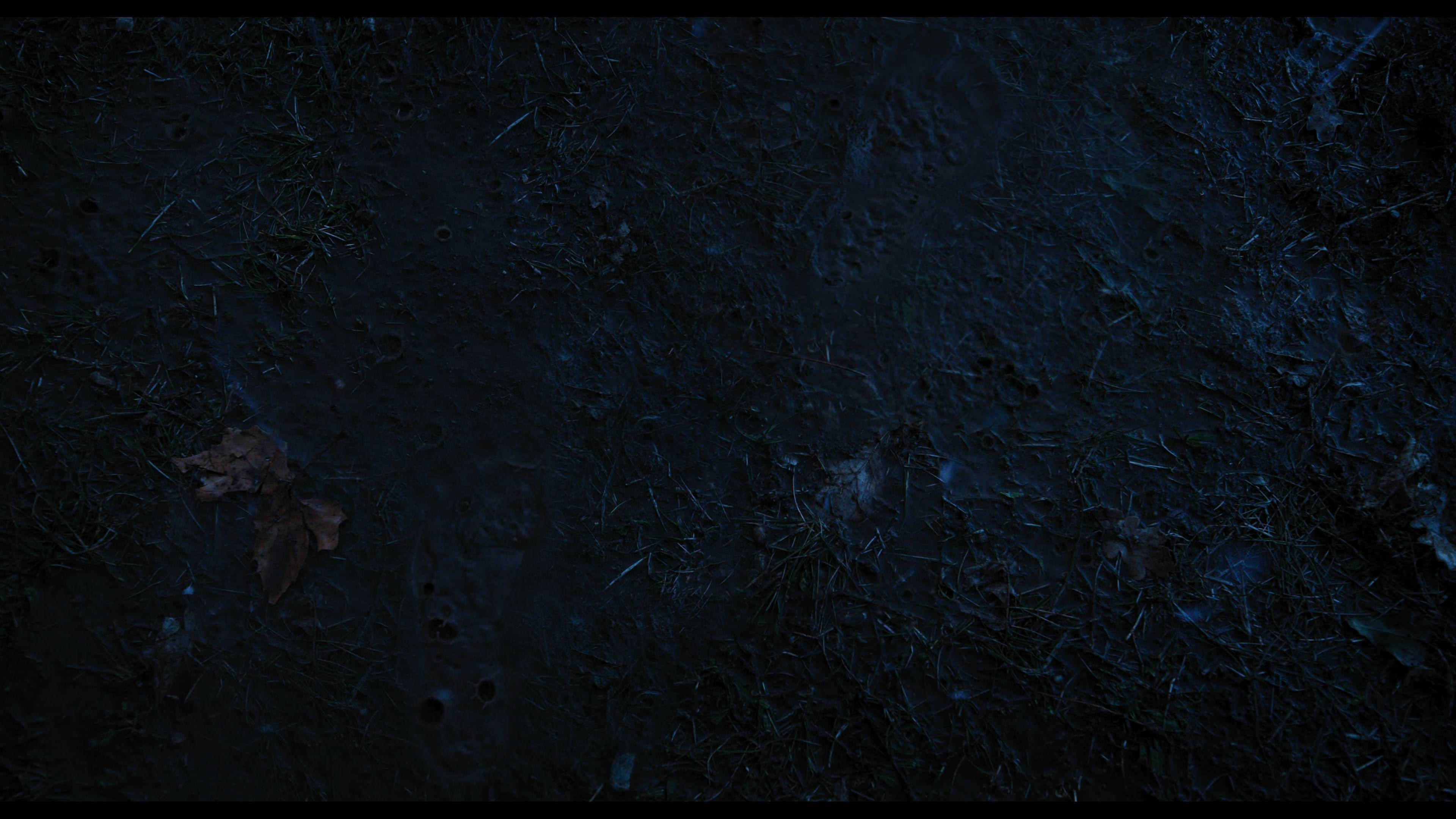 Wednesday S01E03 “Friend or Woe” screencap 4395