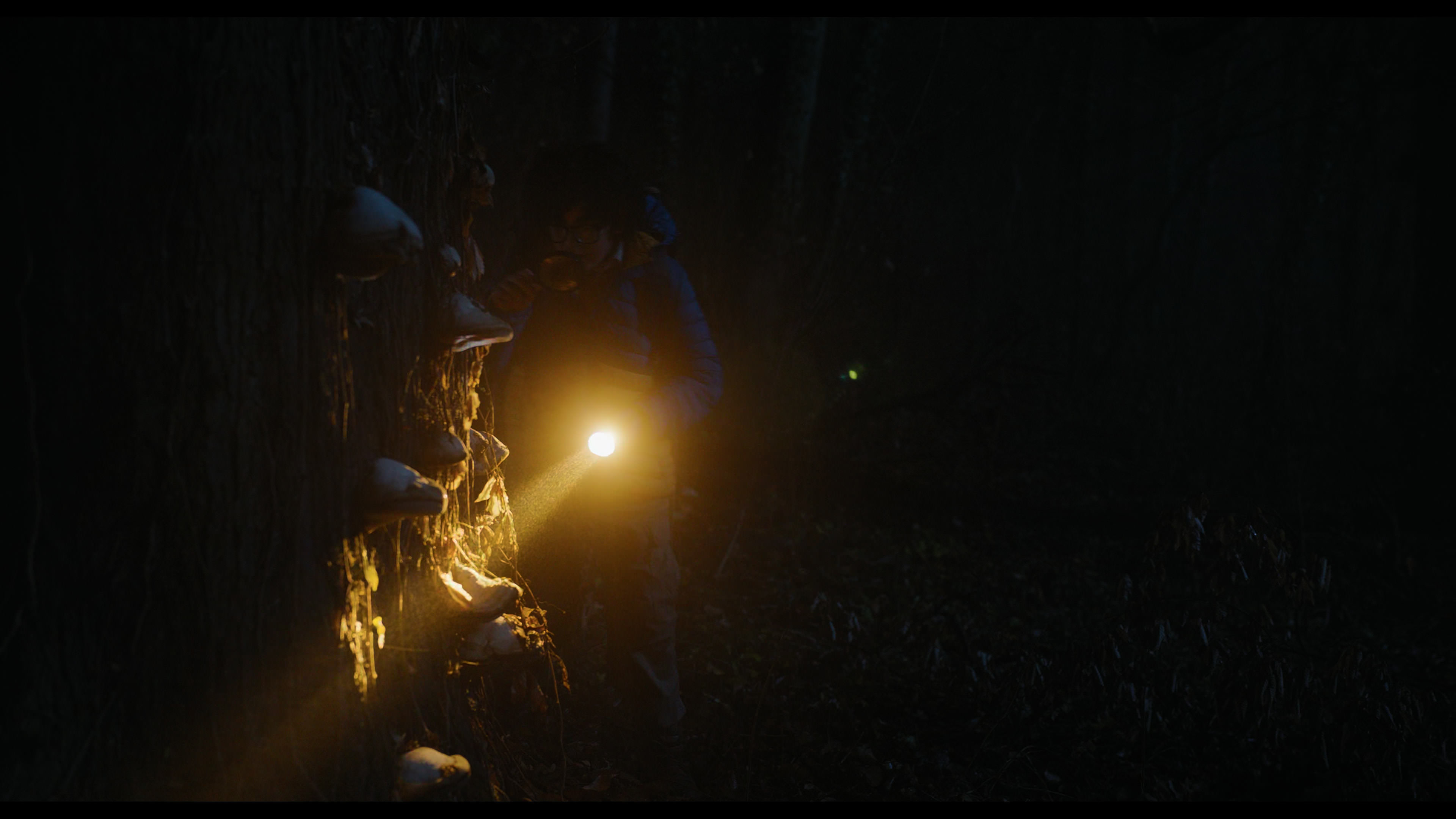 Wednesday S01E03 “Friend or Woe” screencap 5805