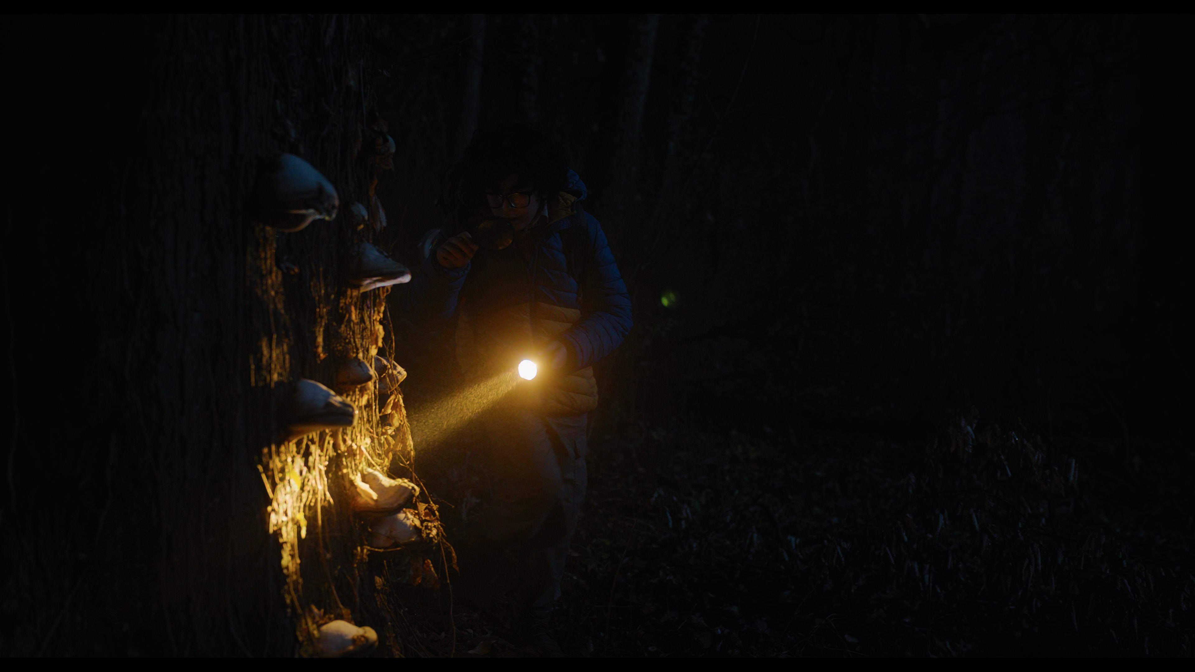 Wednesday S01E03 “Friend or Woe” movie still 5806