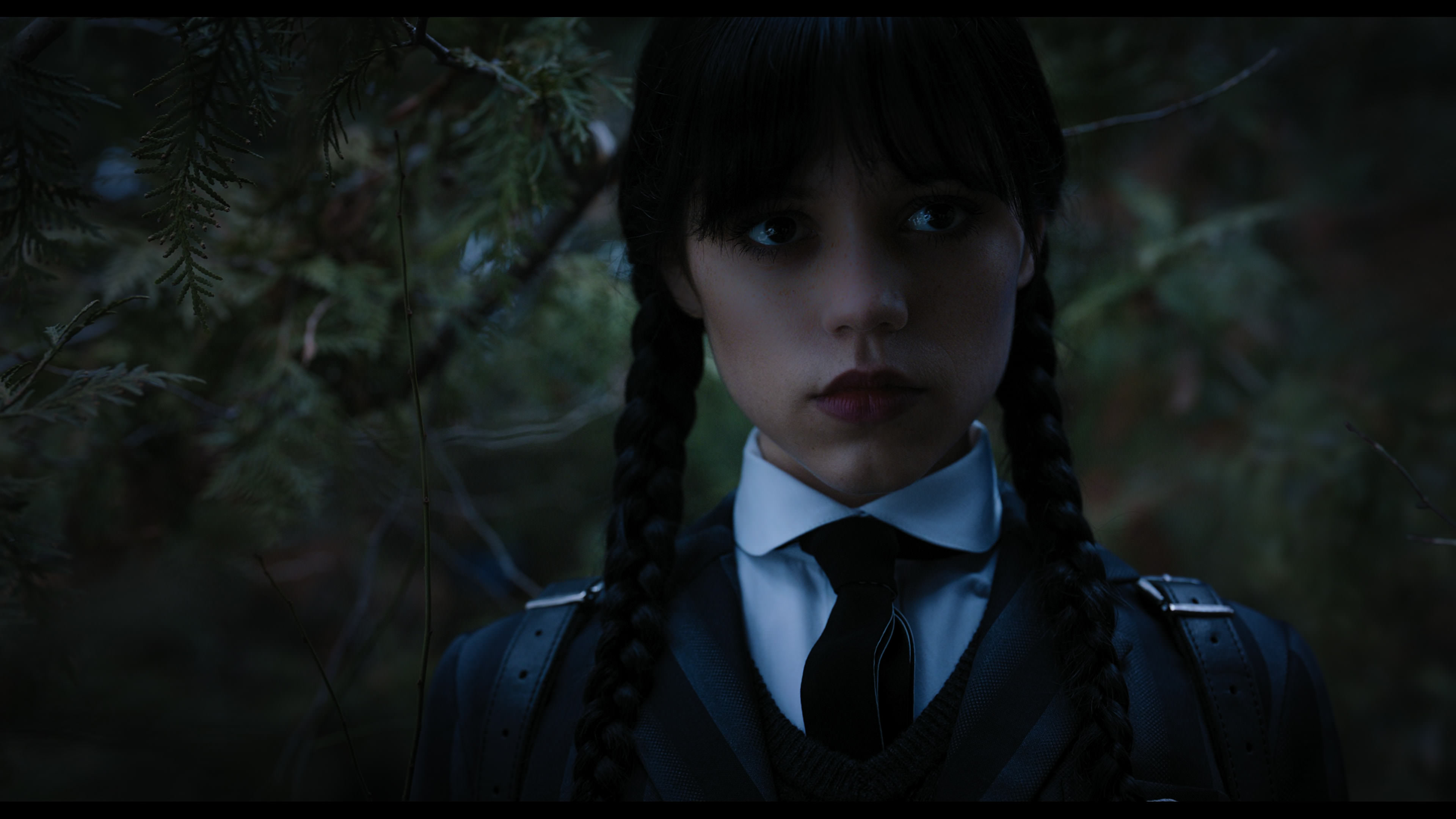 Wednesday S01E04 “Woe What a Night” movie still 1006